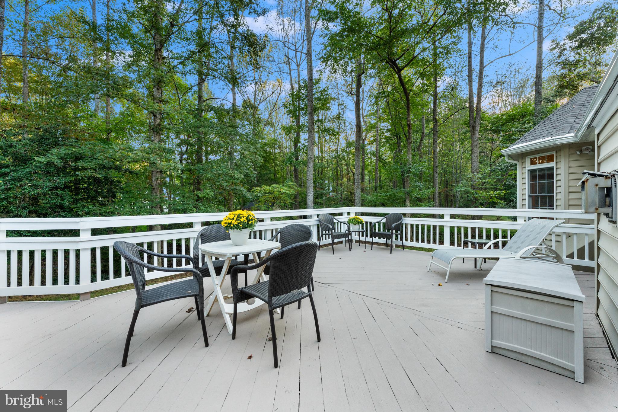 17246 PEPPERSTOCK LANE