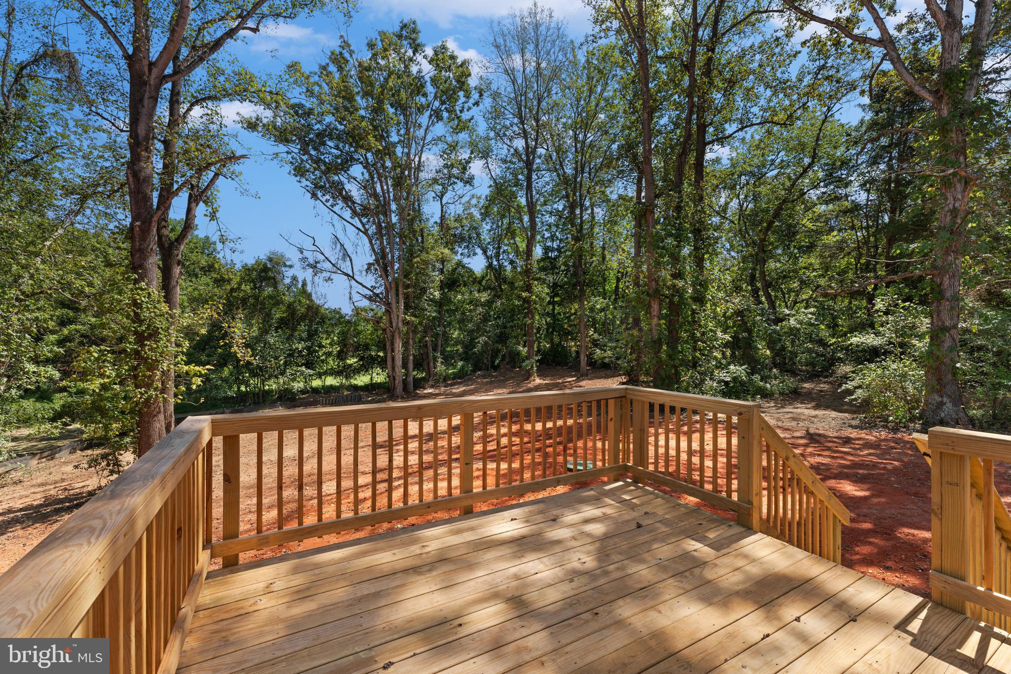 12183 RIXEYVILLE RD