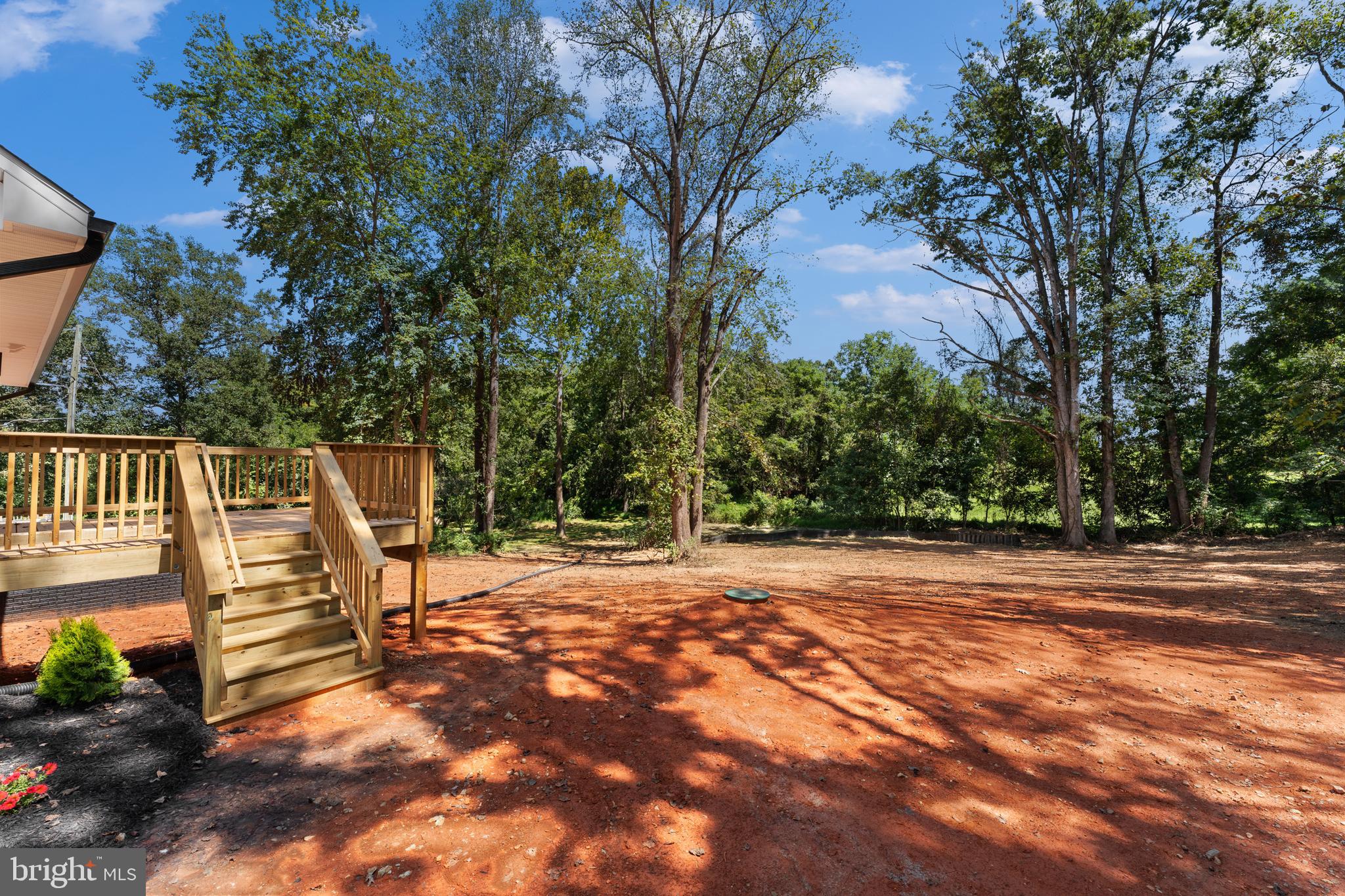 12183 RIXEYVILLE RD