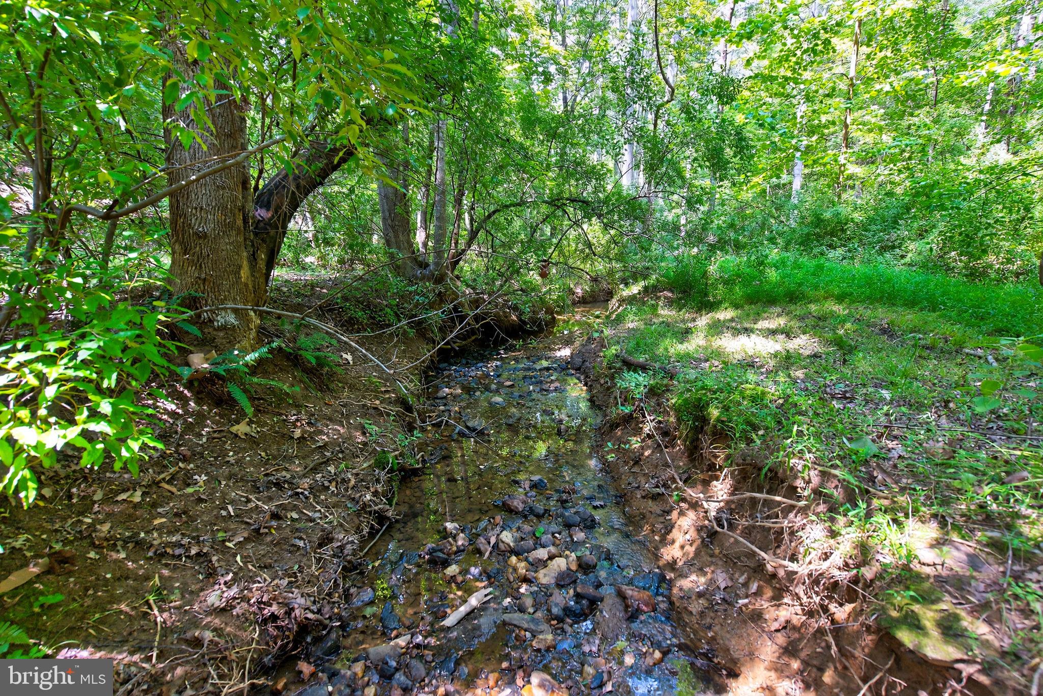 19257 SPRINGFIELD CIRCLE