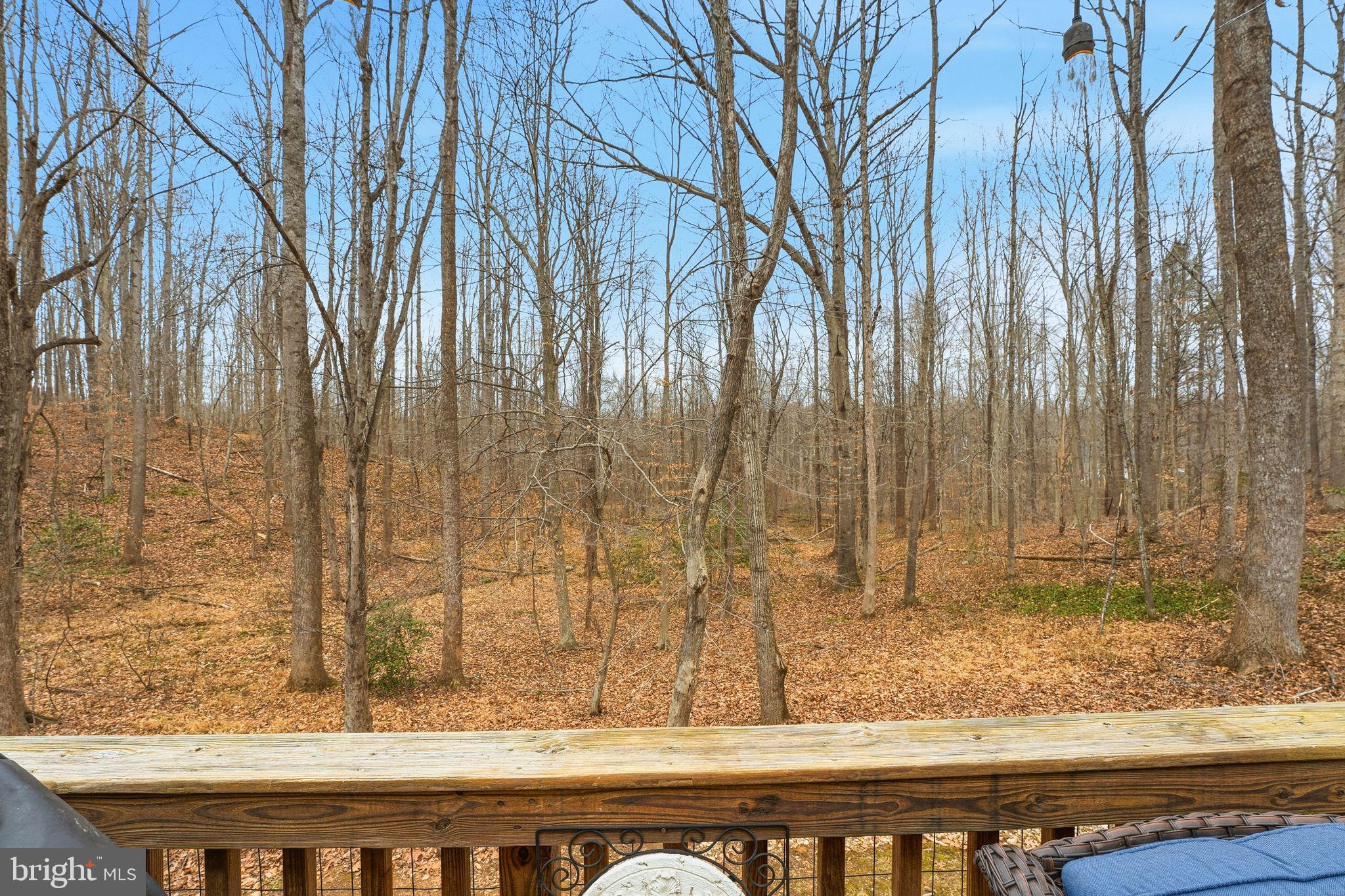 17291 PEPPERSTOCK LANE