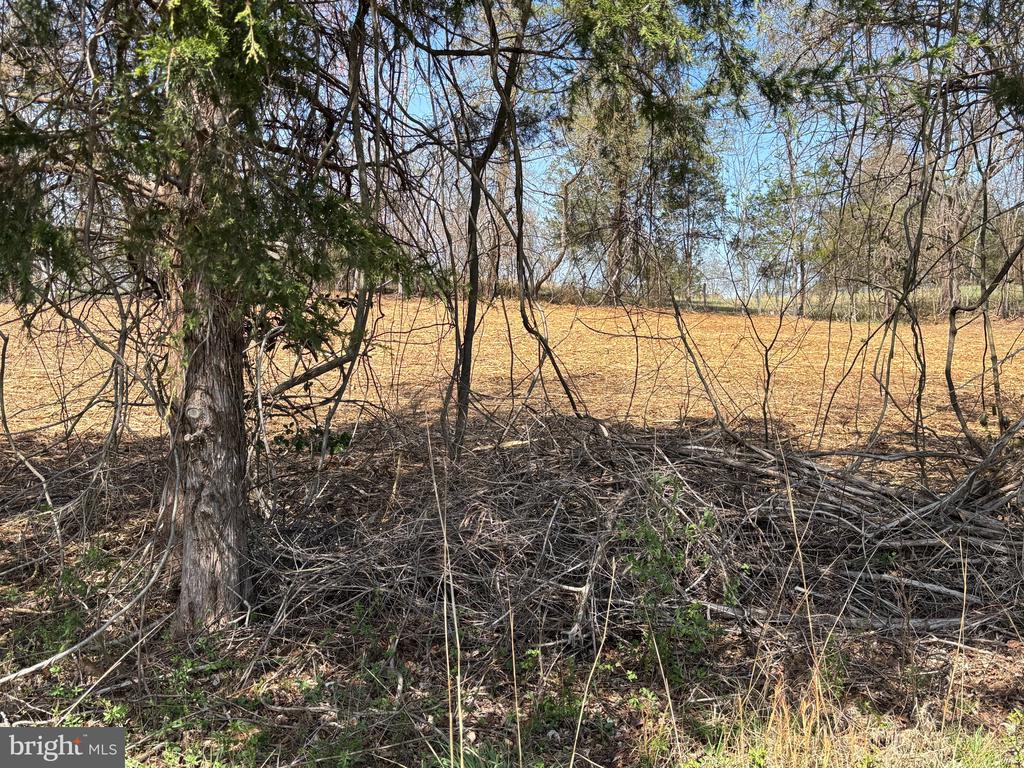 2502 tract 2 HOLLY SPRINGS DR.