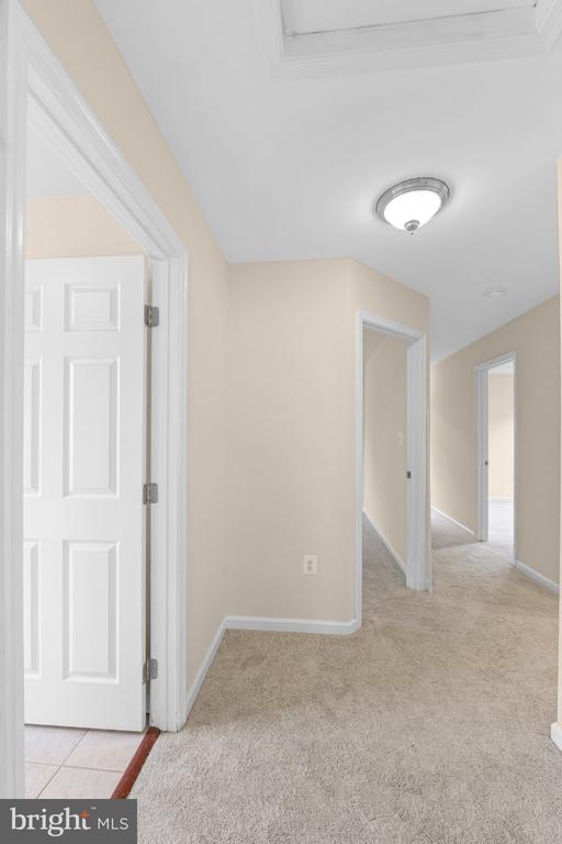 161 KING EDWARD COURT