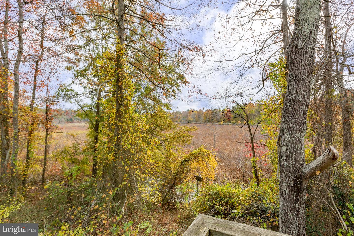 14500 Woodslane ROAD