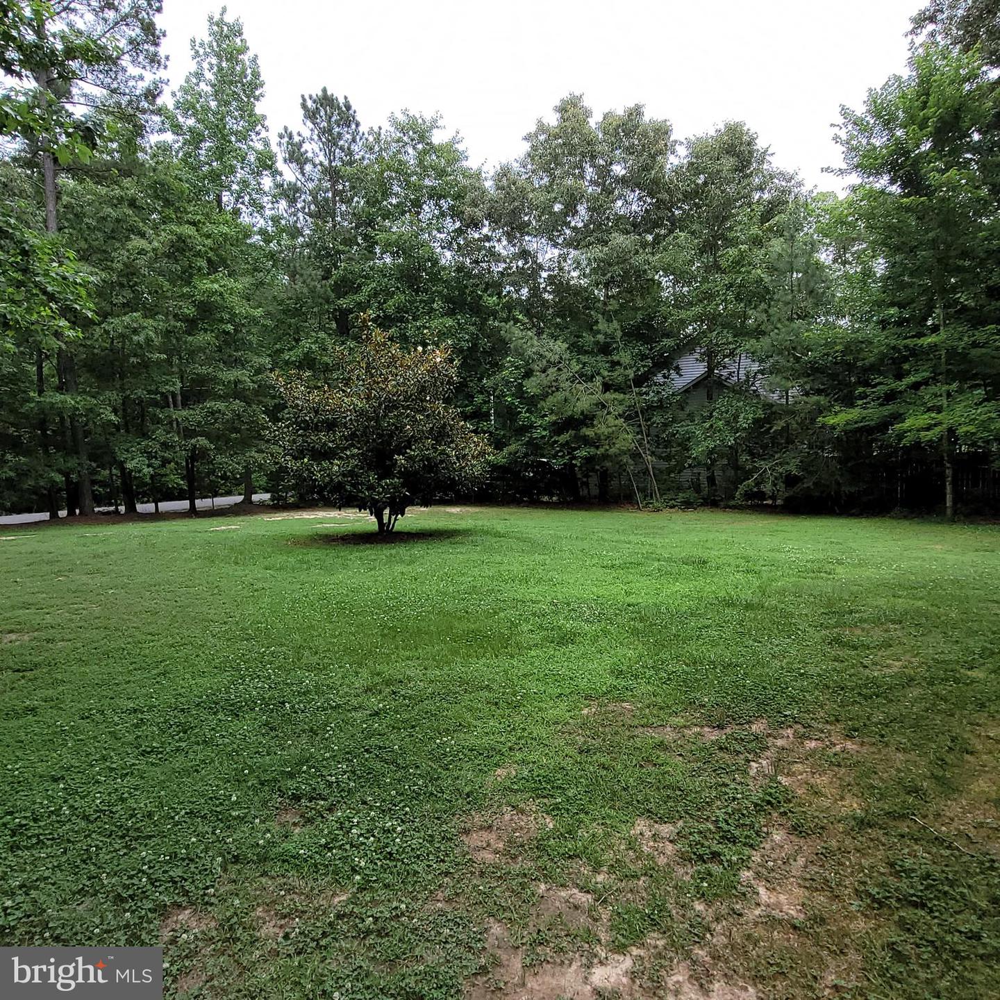 307 Musket DRIVE
