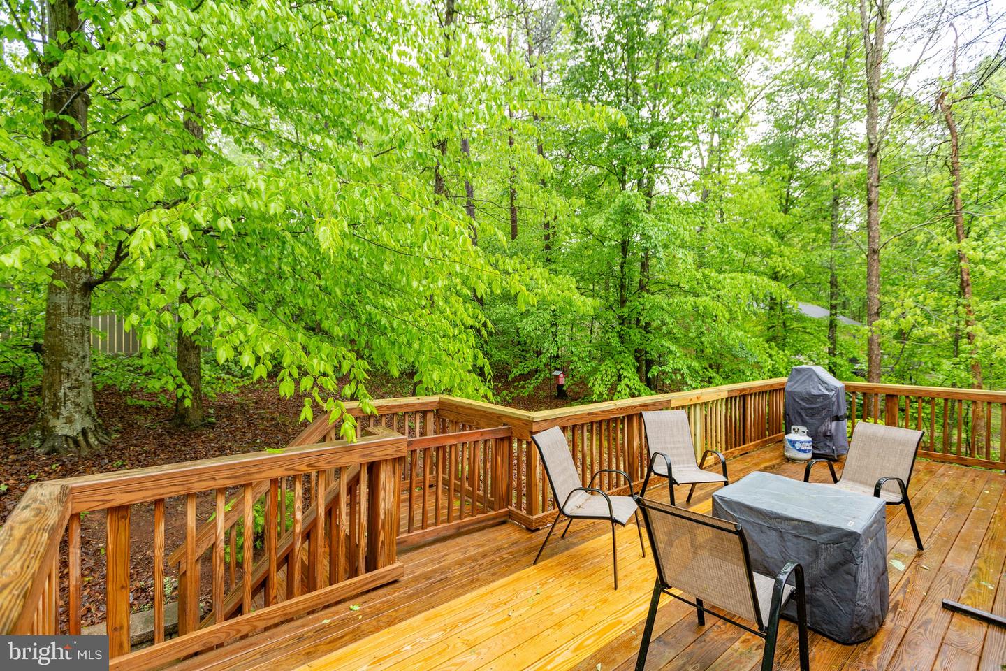 115 Needwood DRIVE