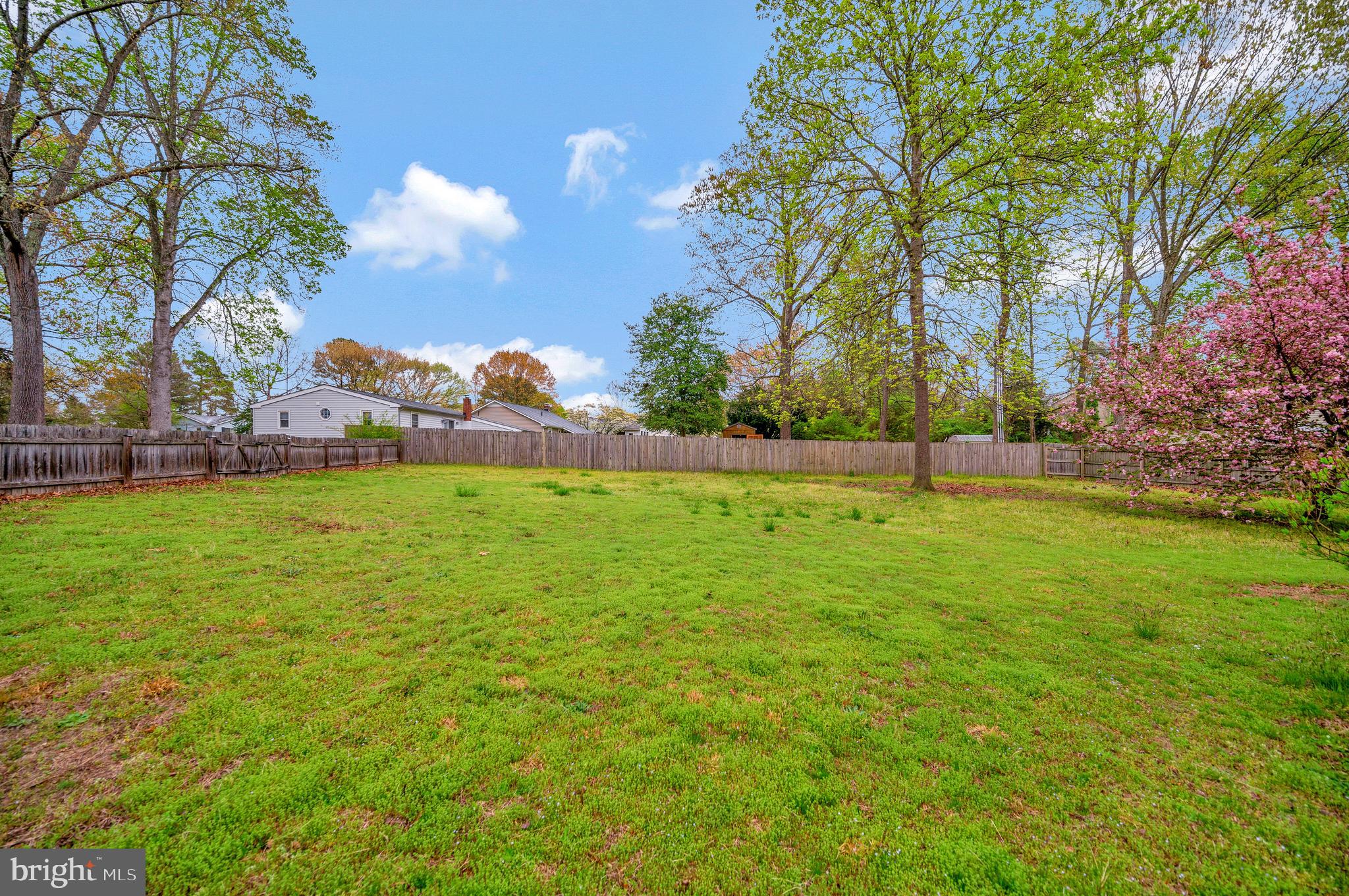12216 Bunya Ln