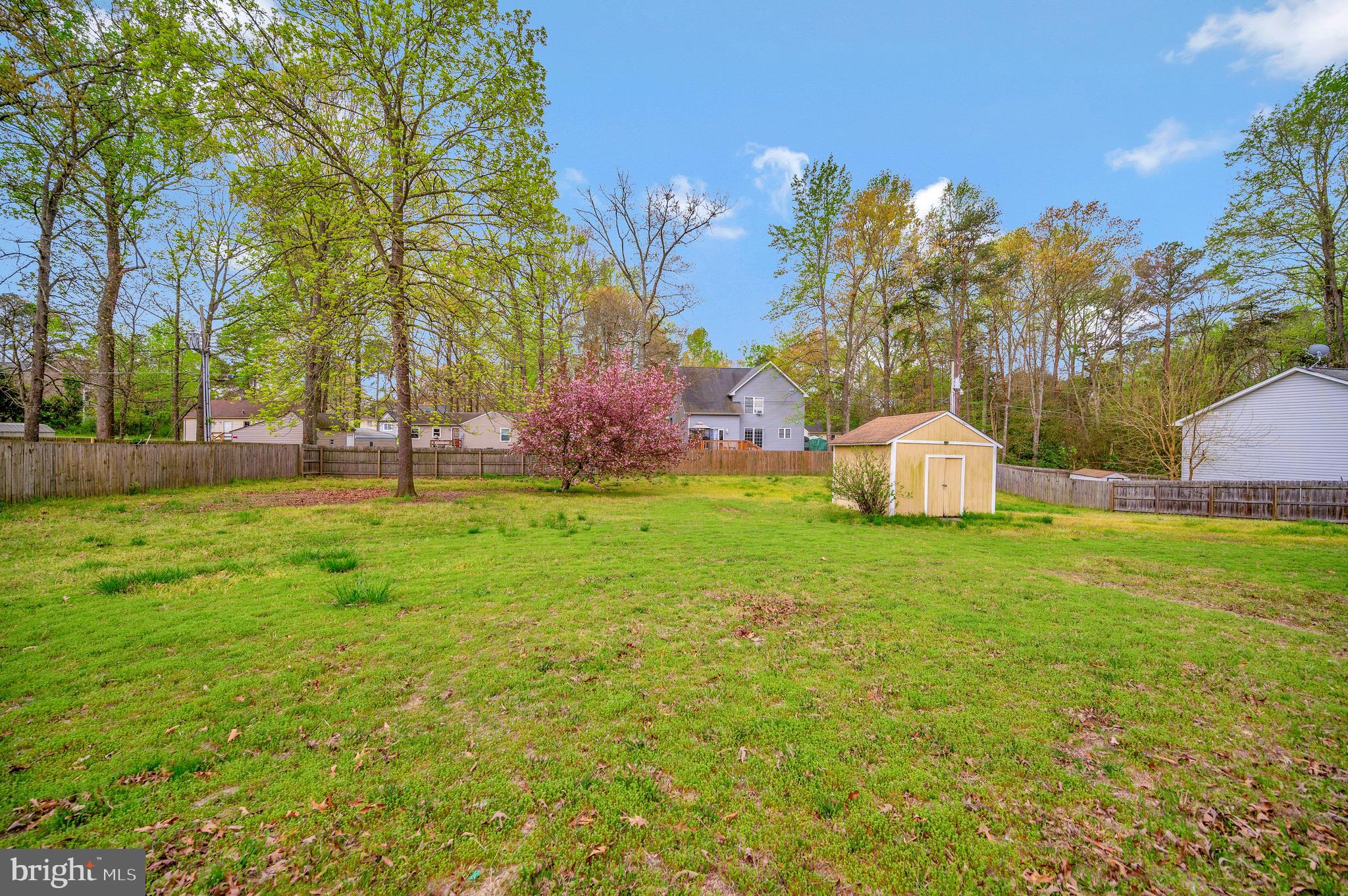 12216 Bunya Ln