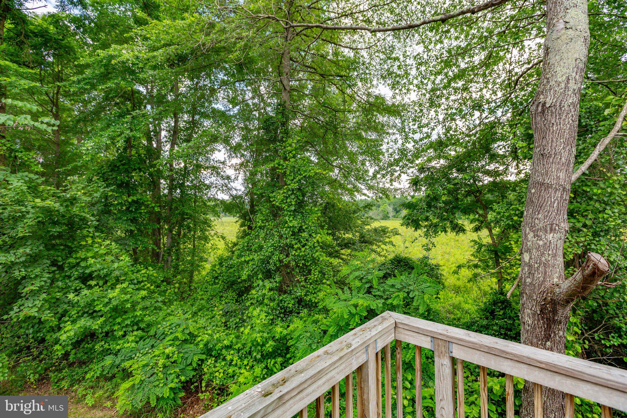 14500 Woodslane Rd