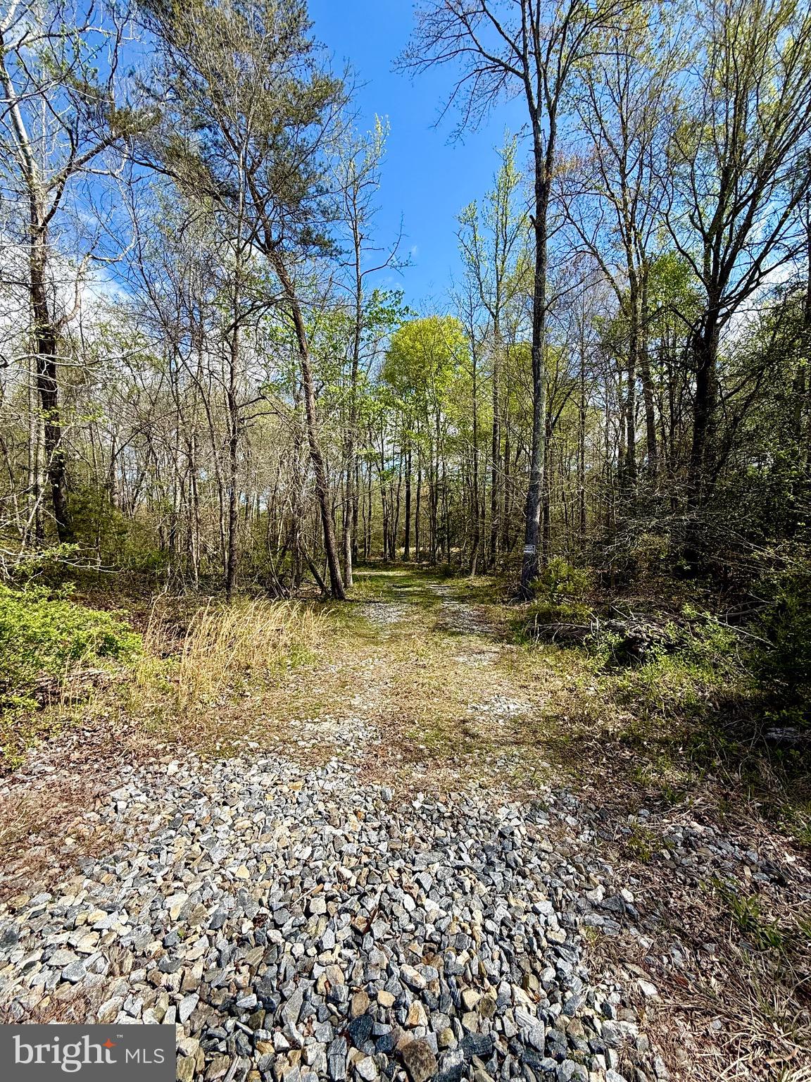 70 Guinea Station Rd