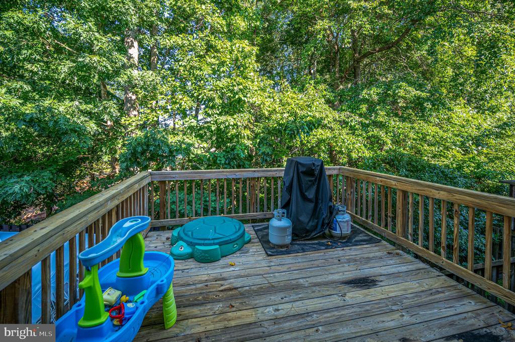 23044 SIR BARTON COURT