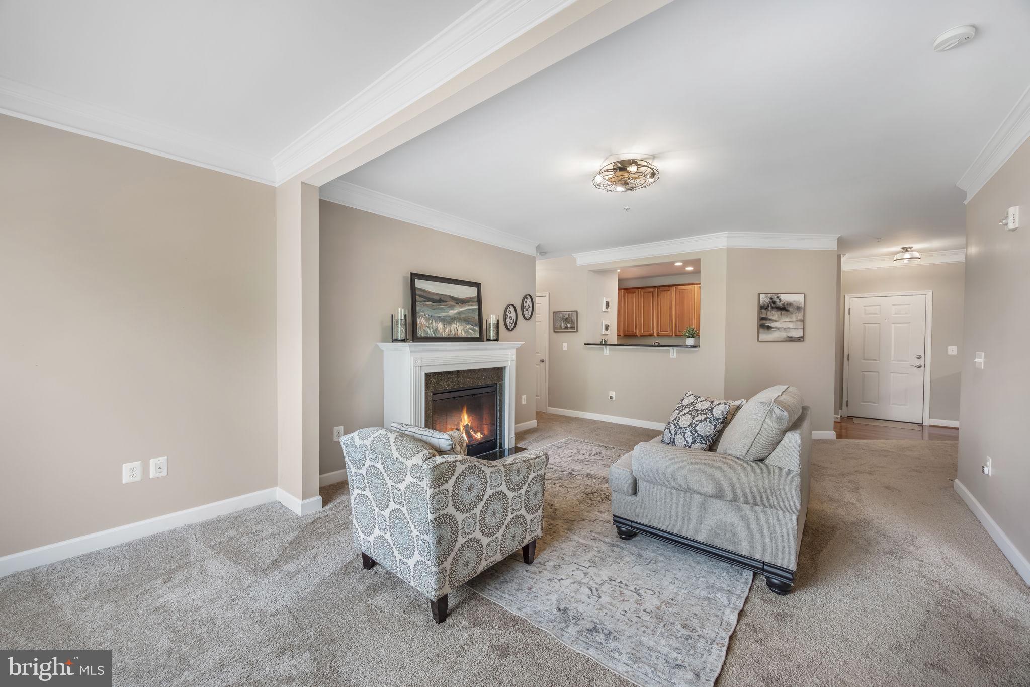 701 COBBLESTONE BOULEVARD 203 203