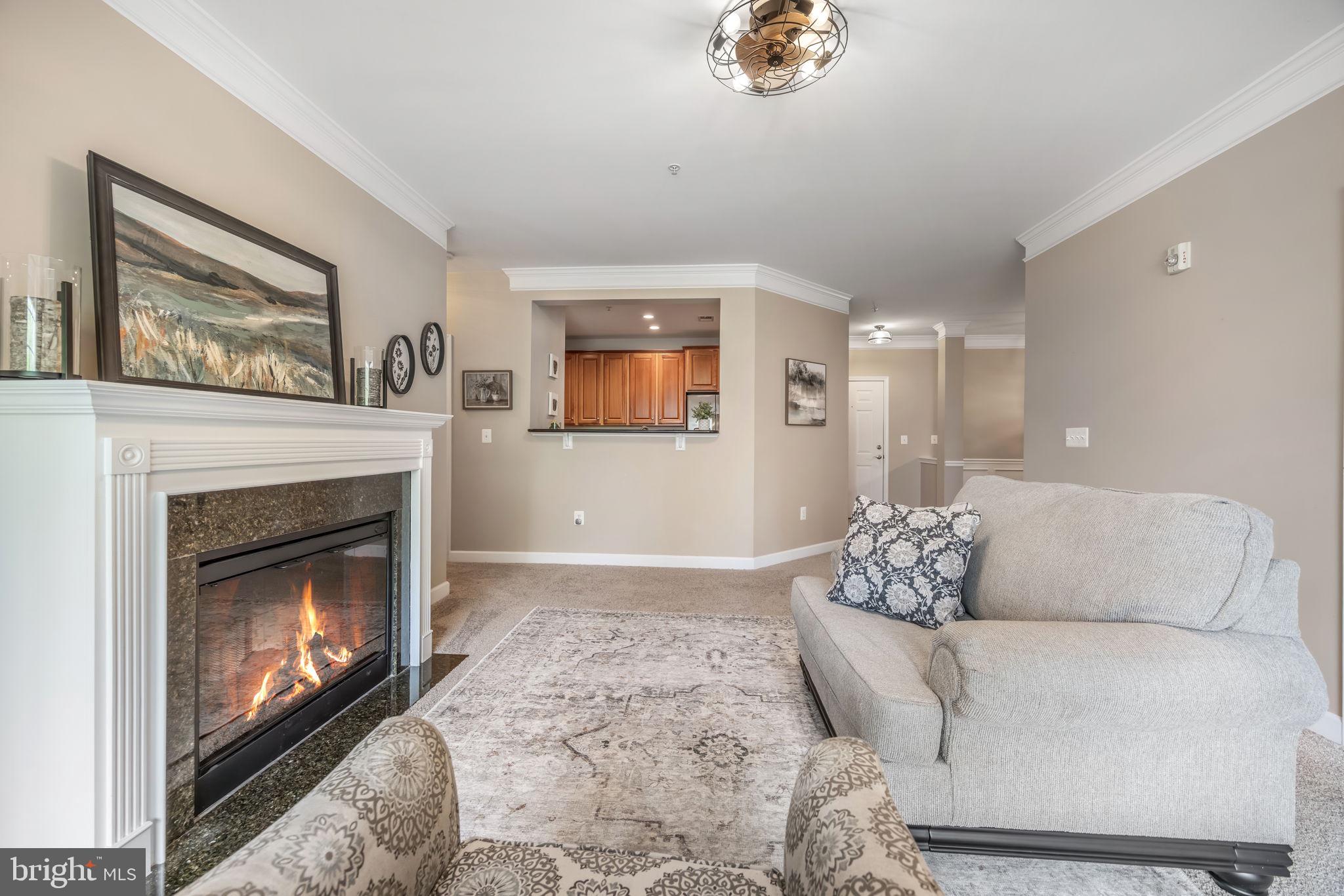 701 COBBLESTONE BOULEVARD 203 203