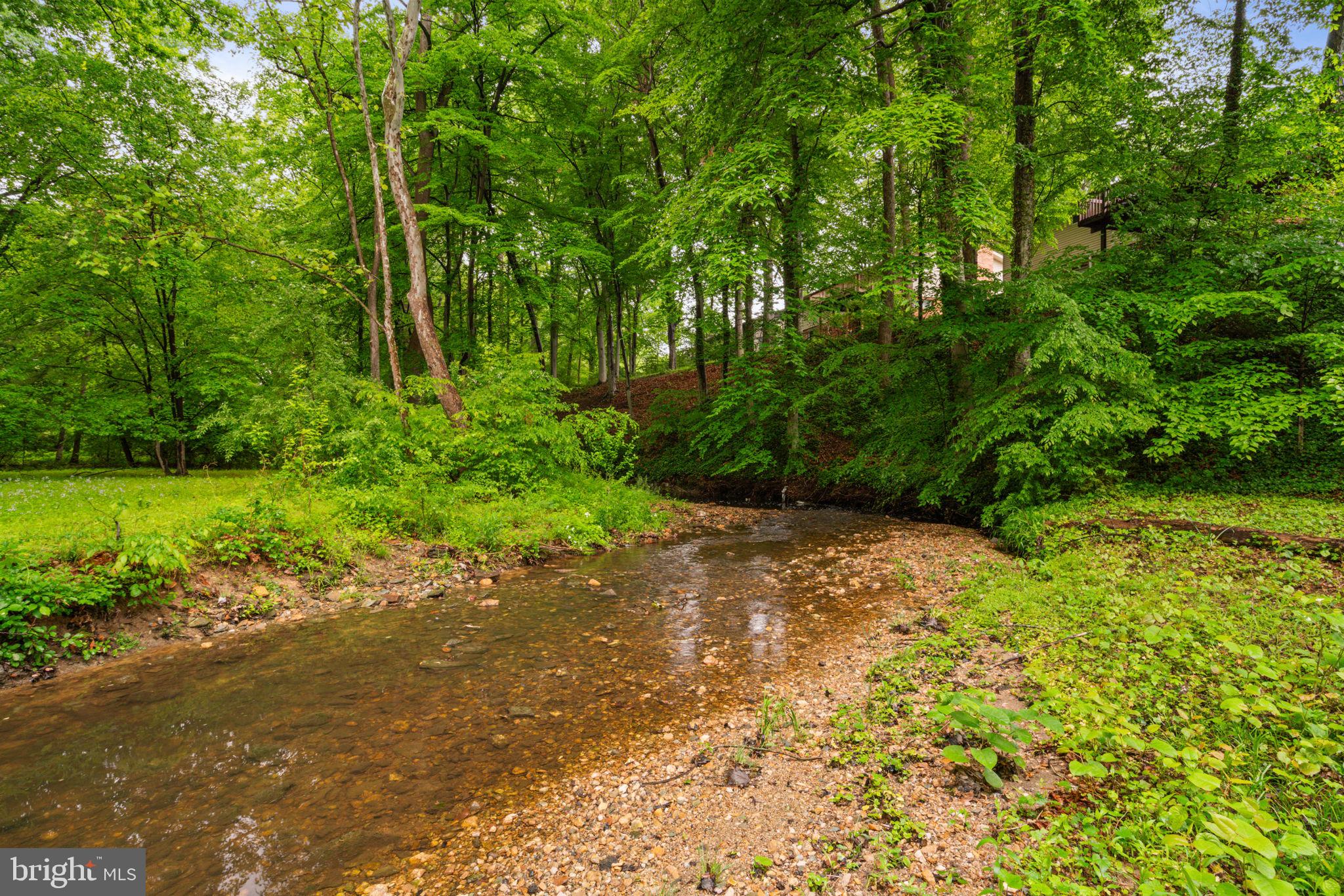 10124 Spring Lake Ter