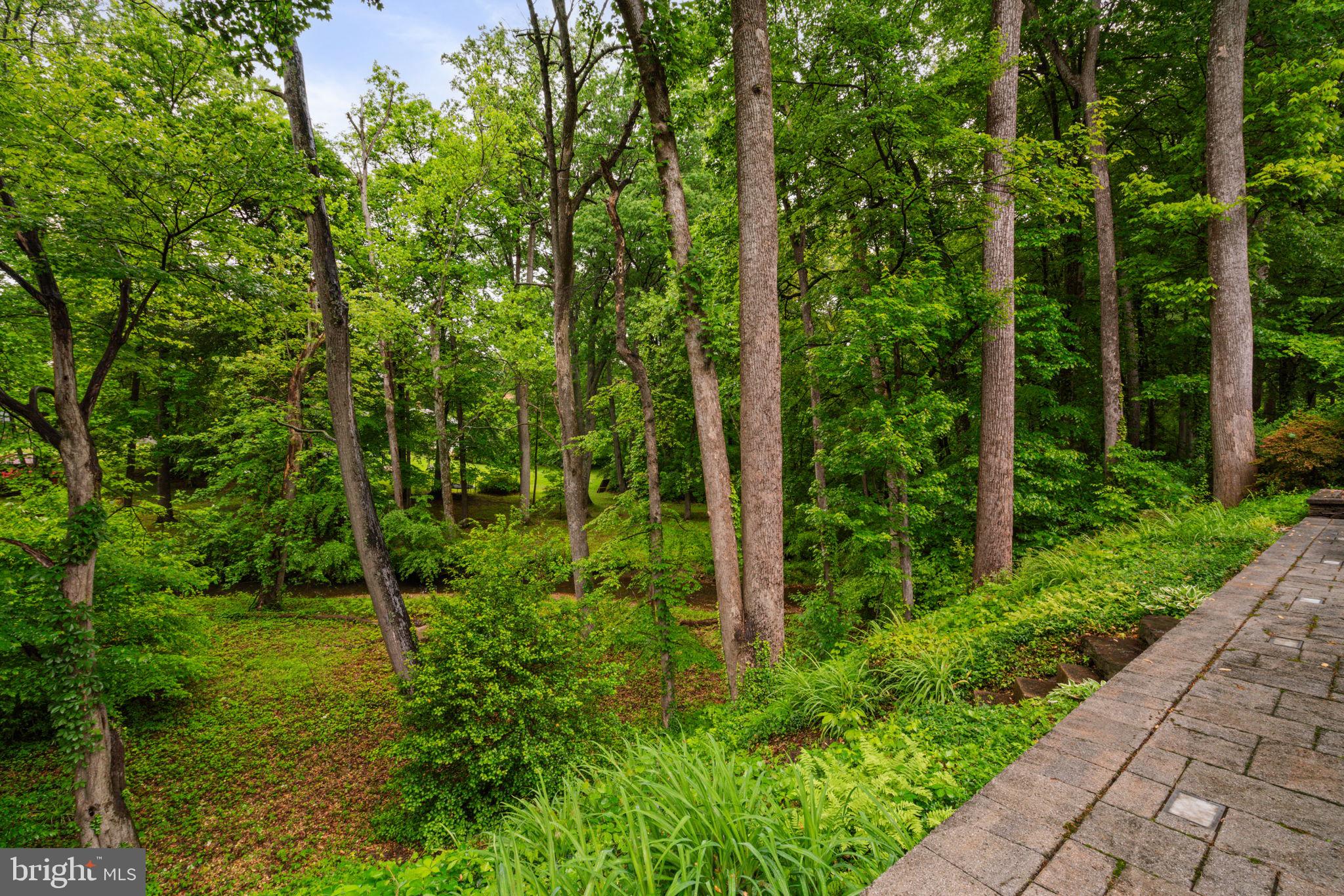 10124 Spring Lake Ter
