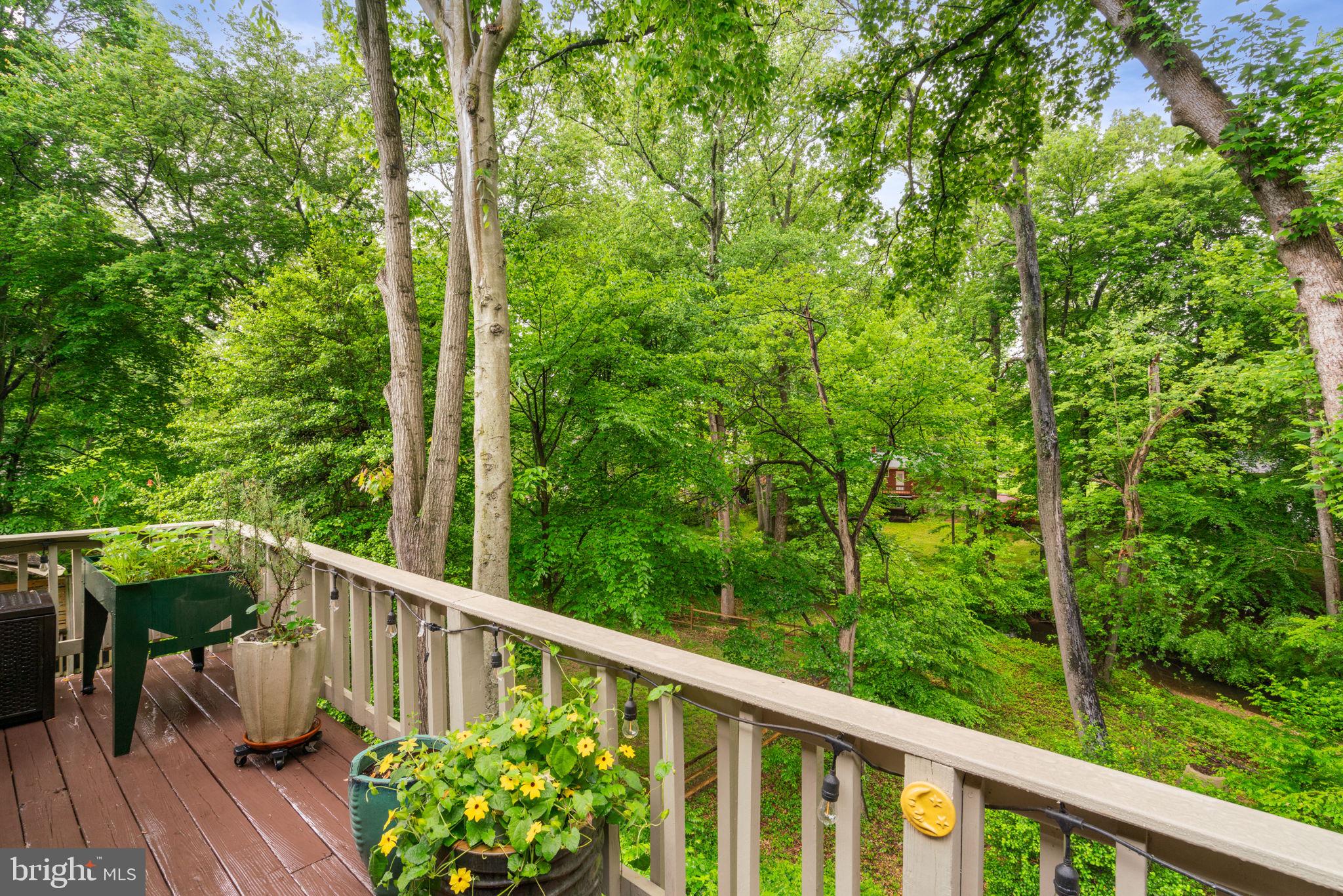 10124 Spring Lake Ter