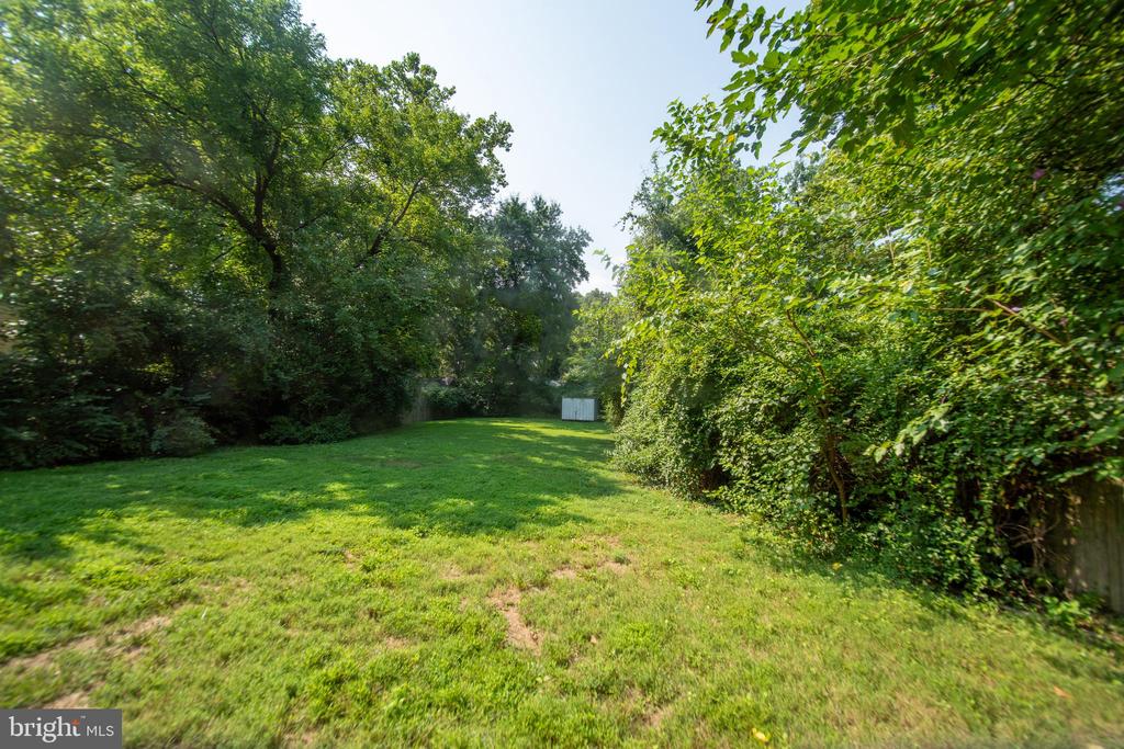 10729 Scott Dr