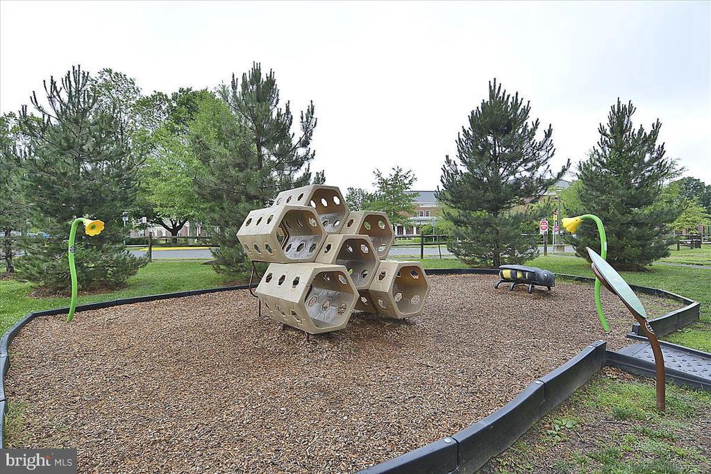 3605 Colony Rd