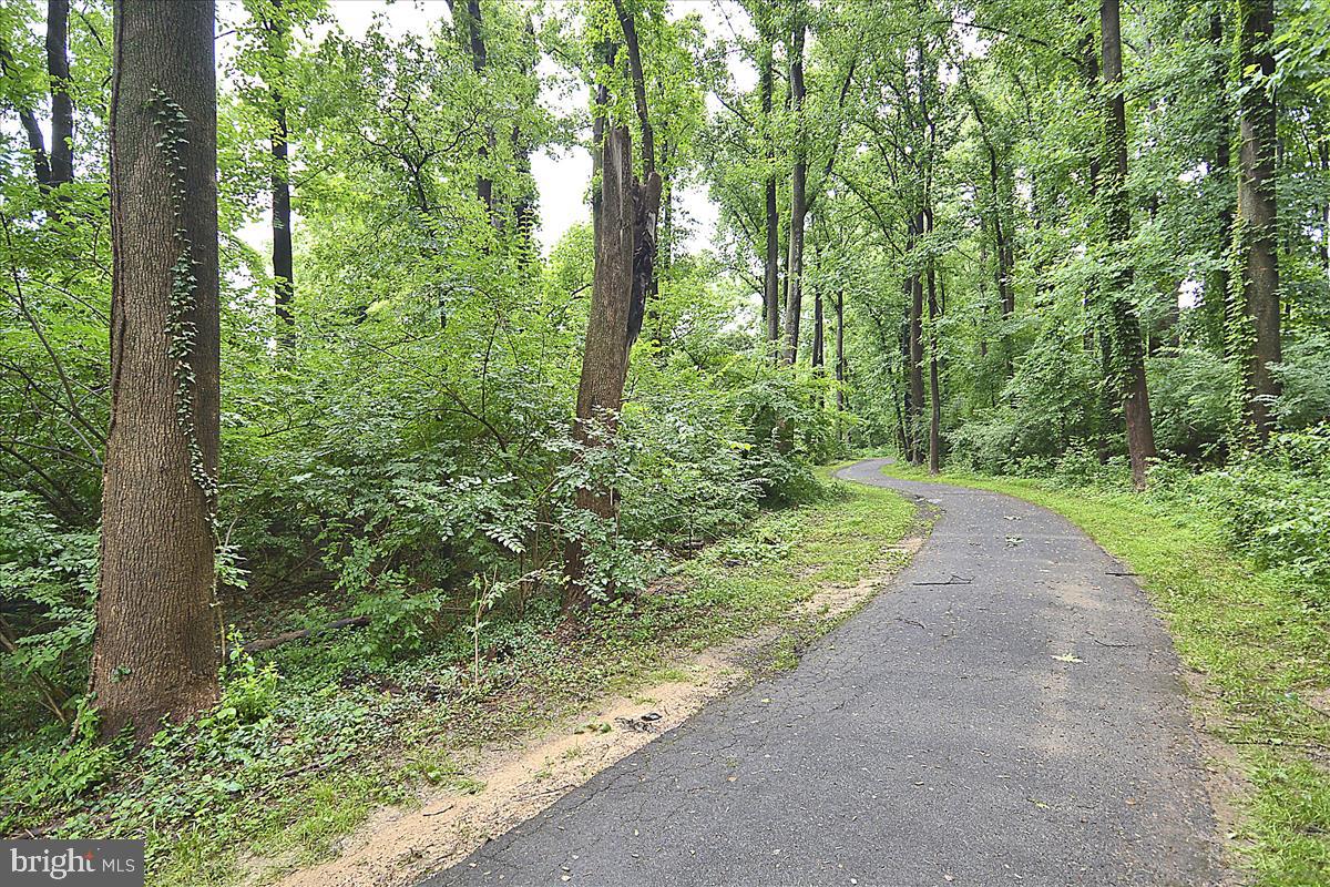 3605 Colony Rd