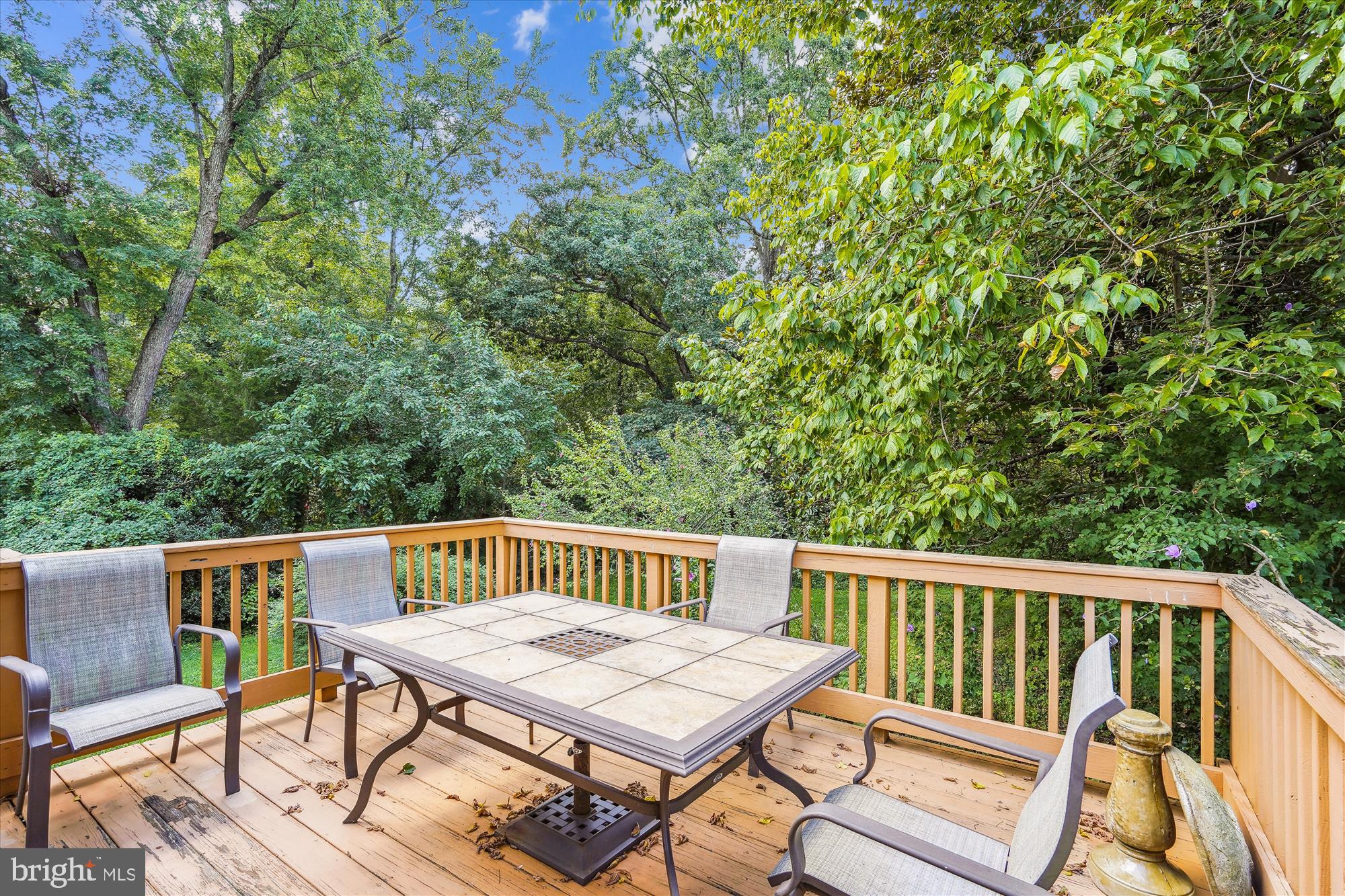 3613 COLONY RD