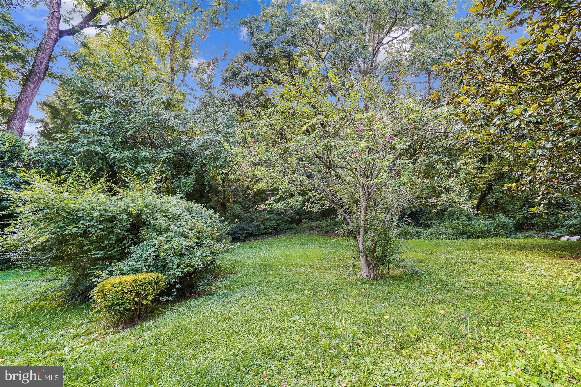3613 COLONY RD