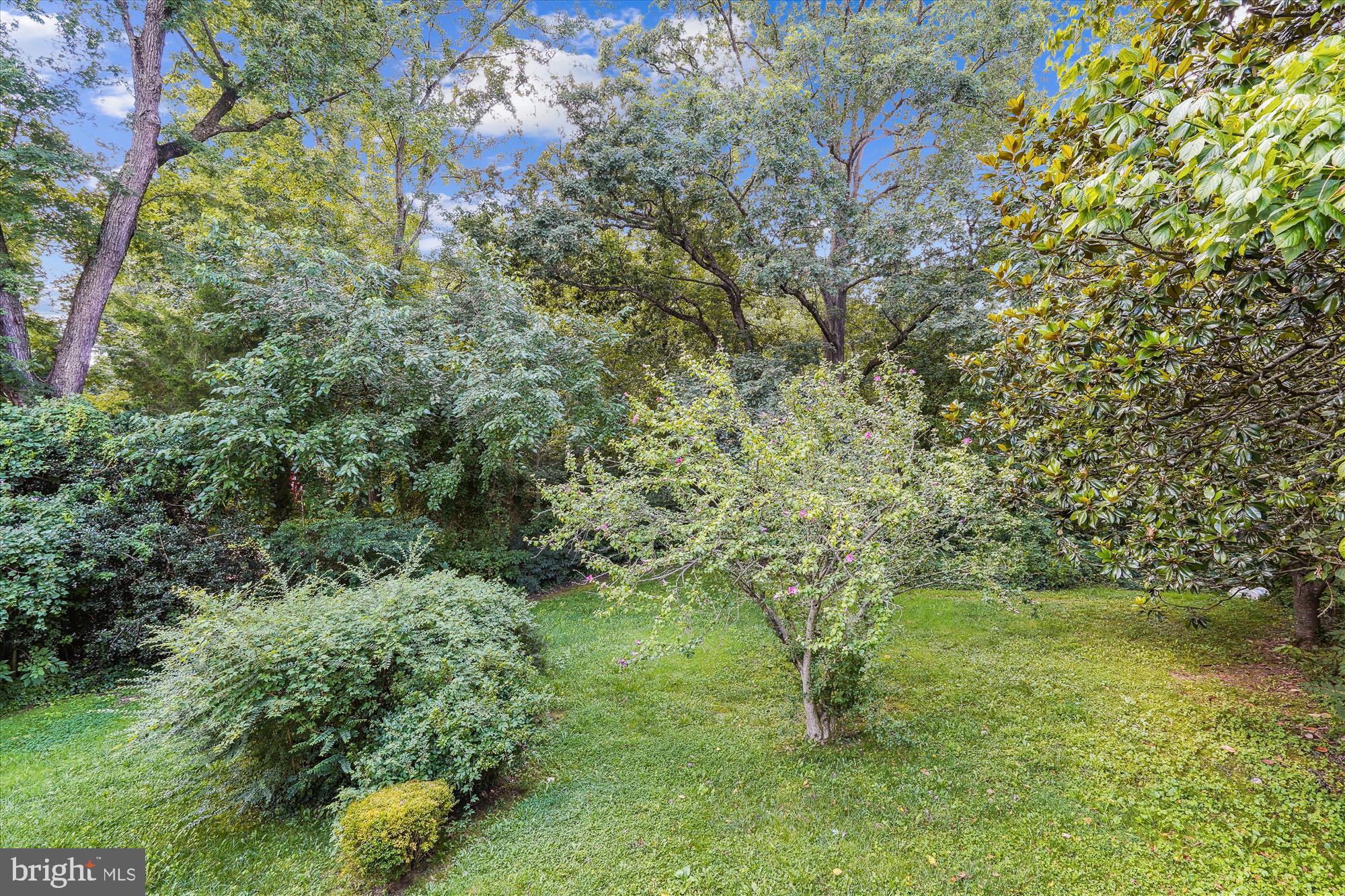 3613 COLONY RD
