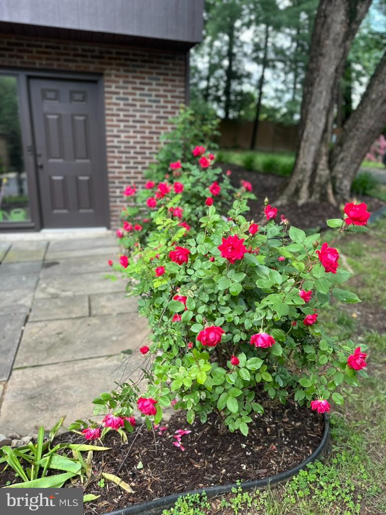 3607 Devilwood Ct