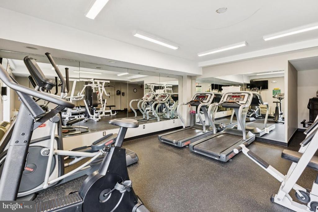 10570 MAIN STREET 202