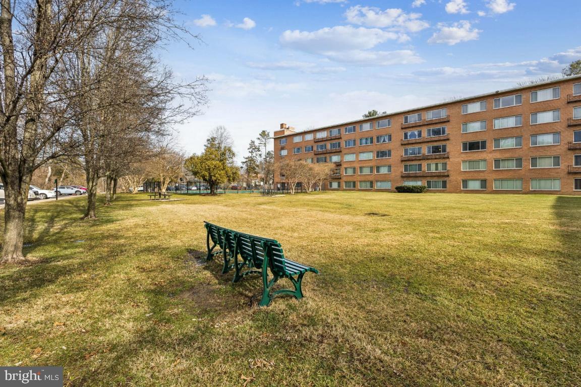 10570 MAIN STREET 202