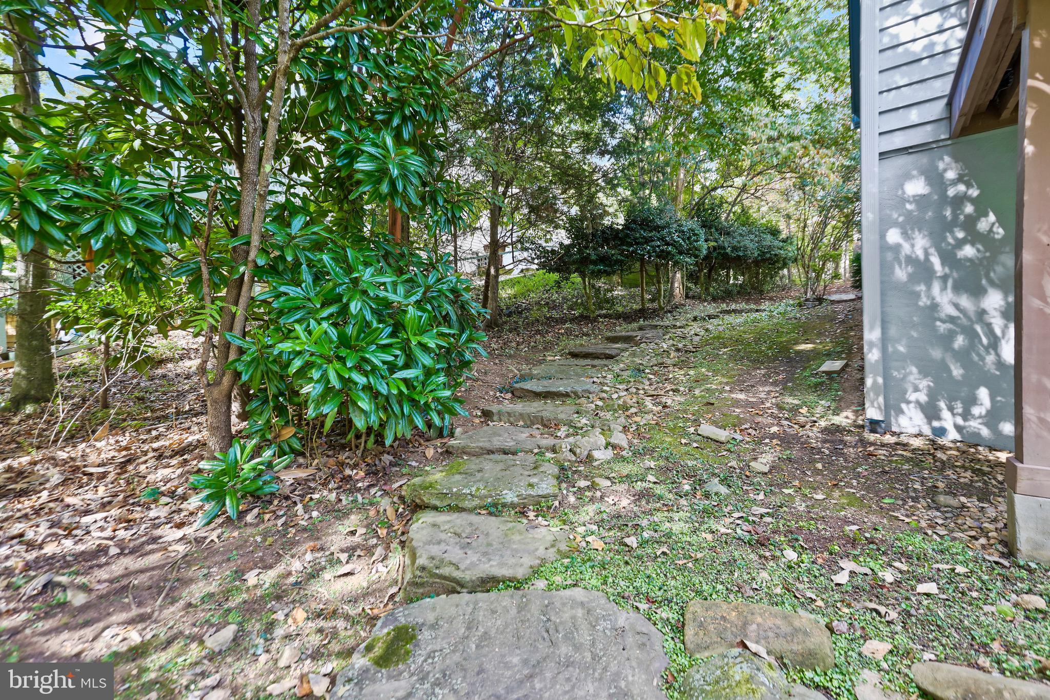 17 VINE RIDGE DRIVE