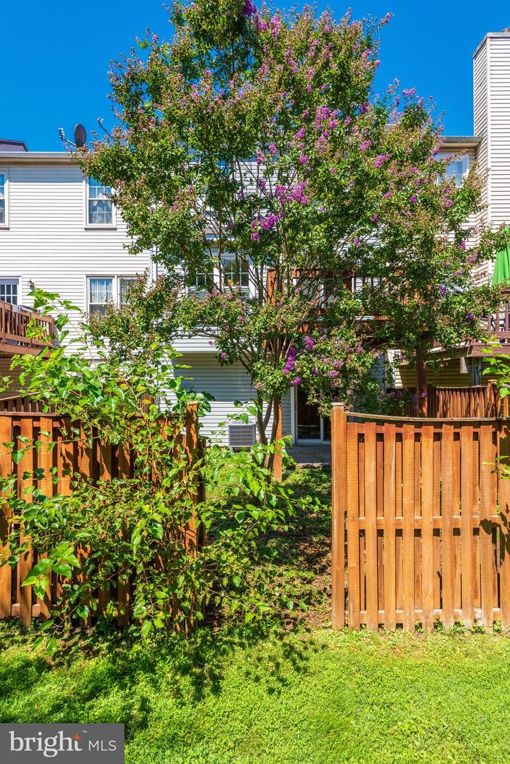 759 Cherry Tree LANE