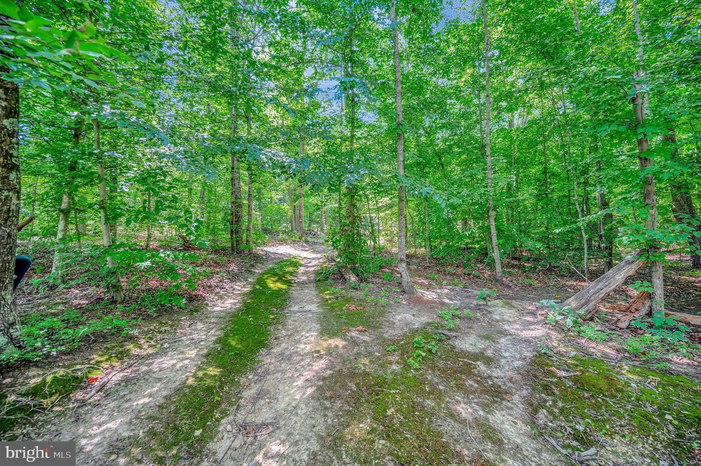 13325 The Dirt Rd