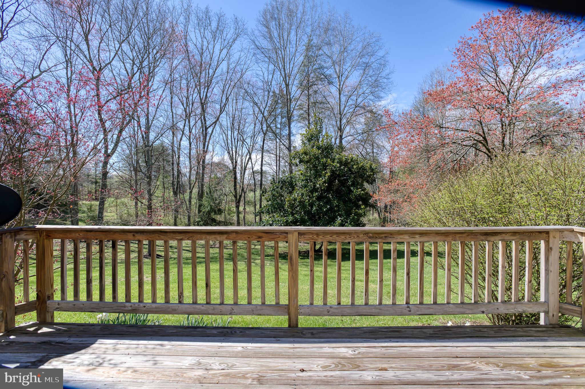 12616 ELK RUN CHURCH ROAD