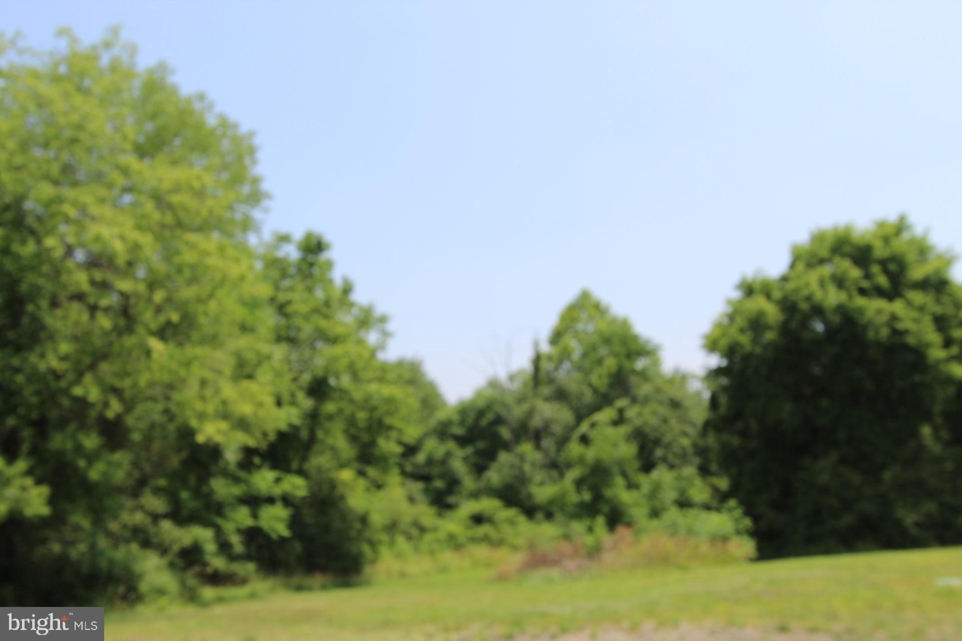 Catlett School Rd