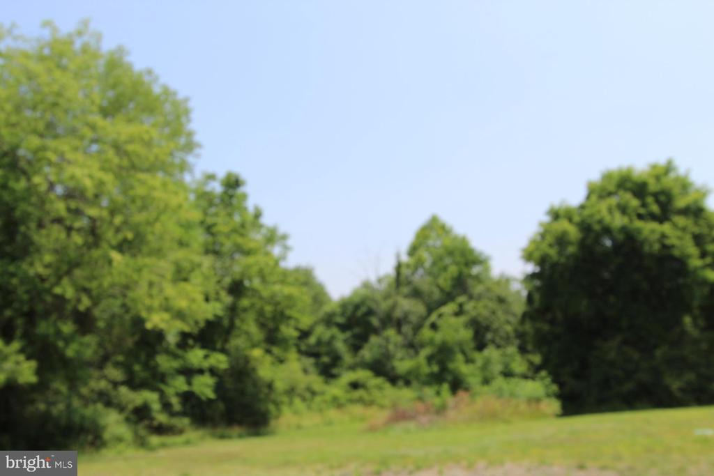 Catlett School Rd