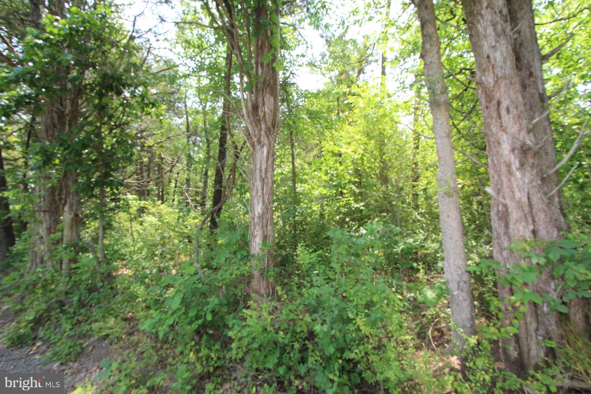 Catlett School Rd