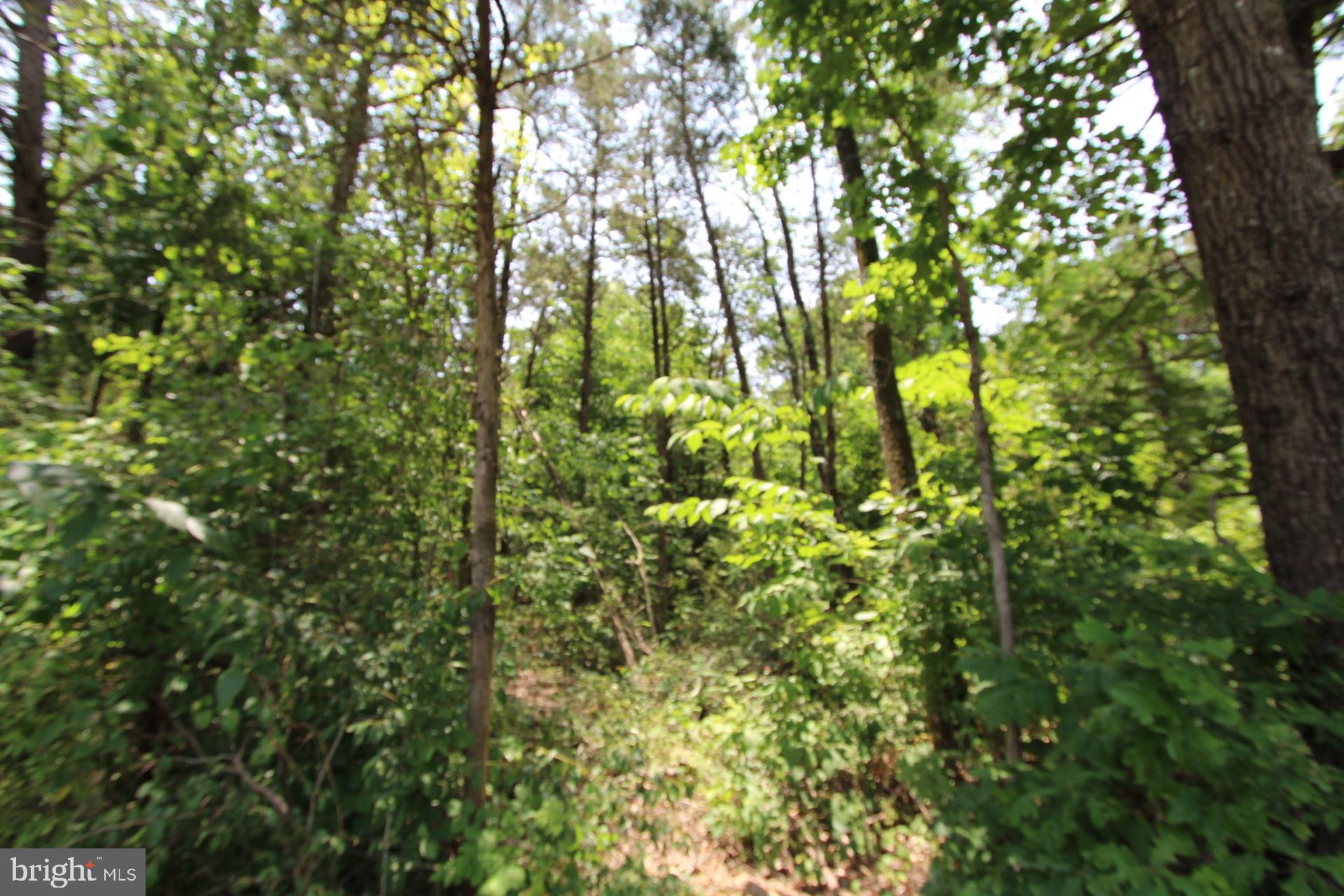 Catlett School Rd