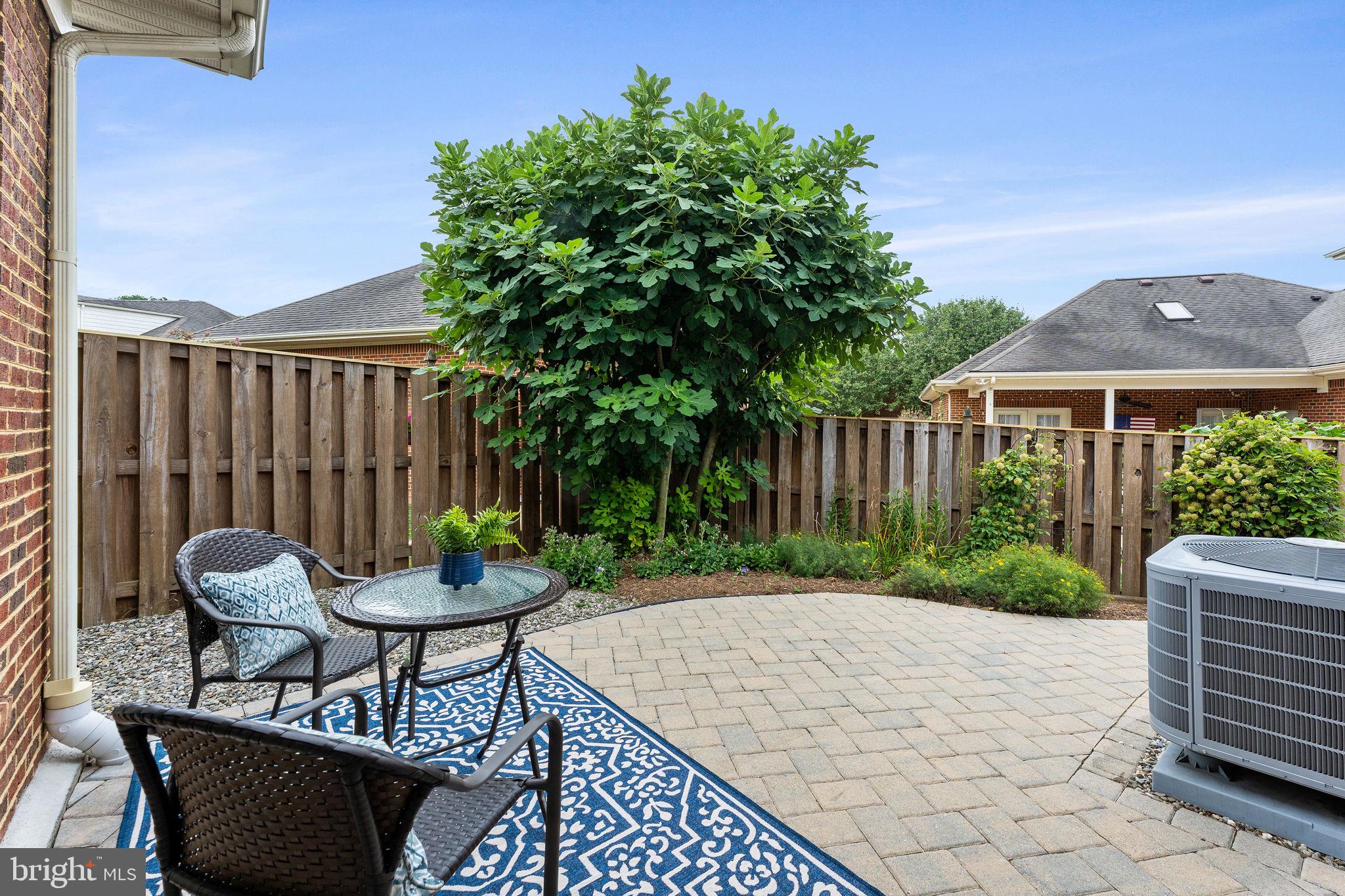 238 CARRIAGE CHASE CIRCLE