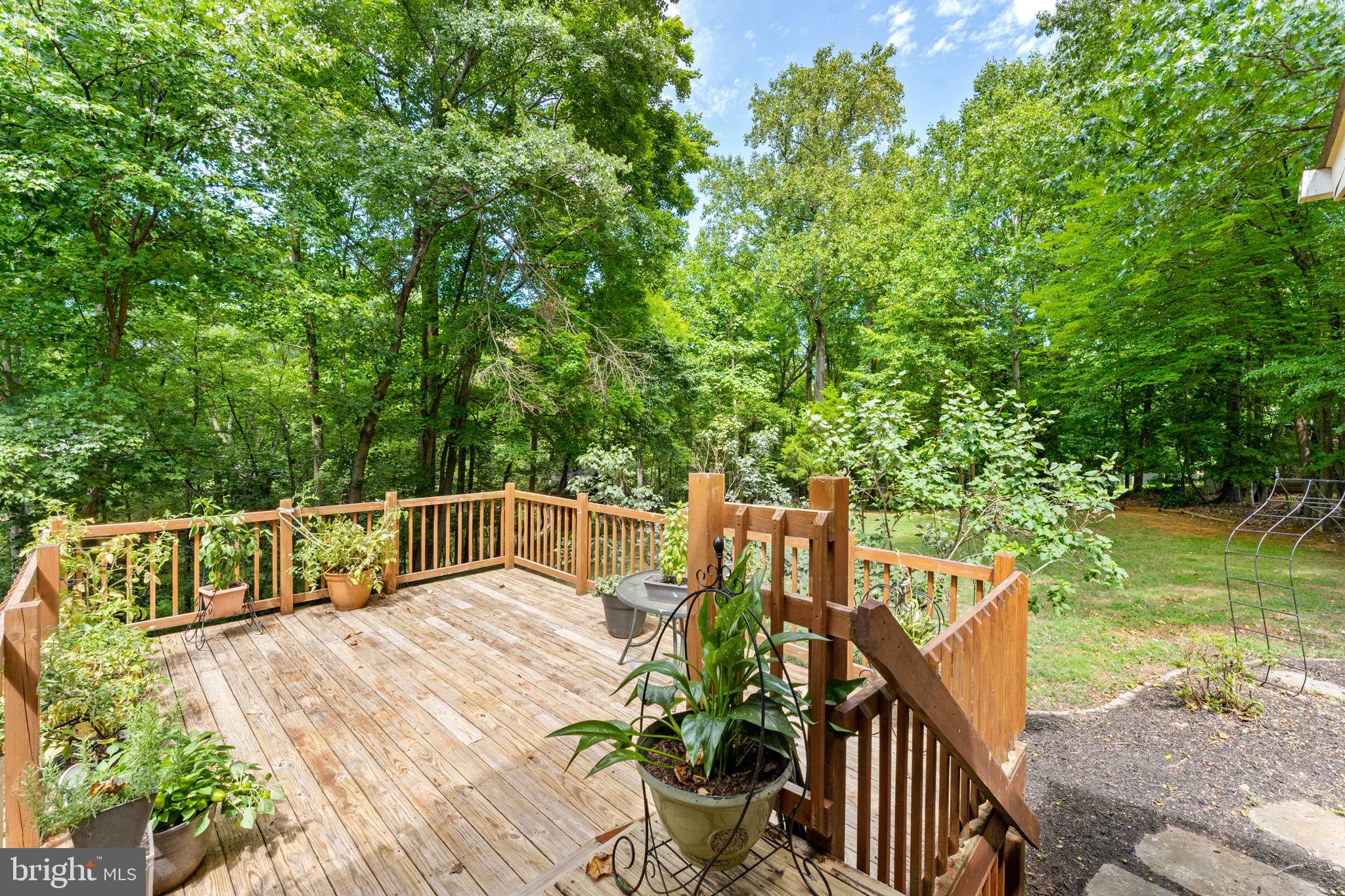 5344 FORREST COURT