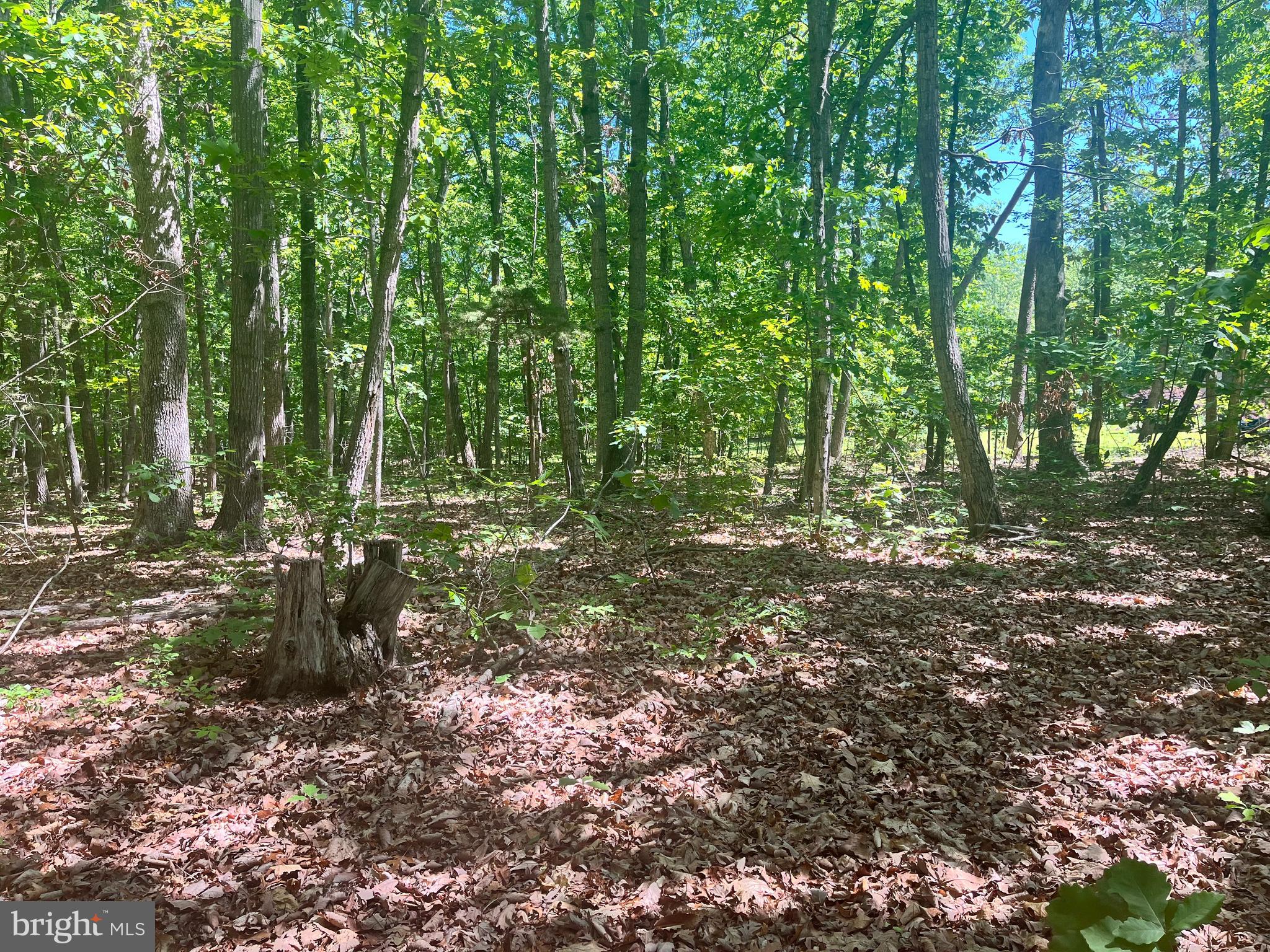 ELK RUN RD.