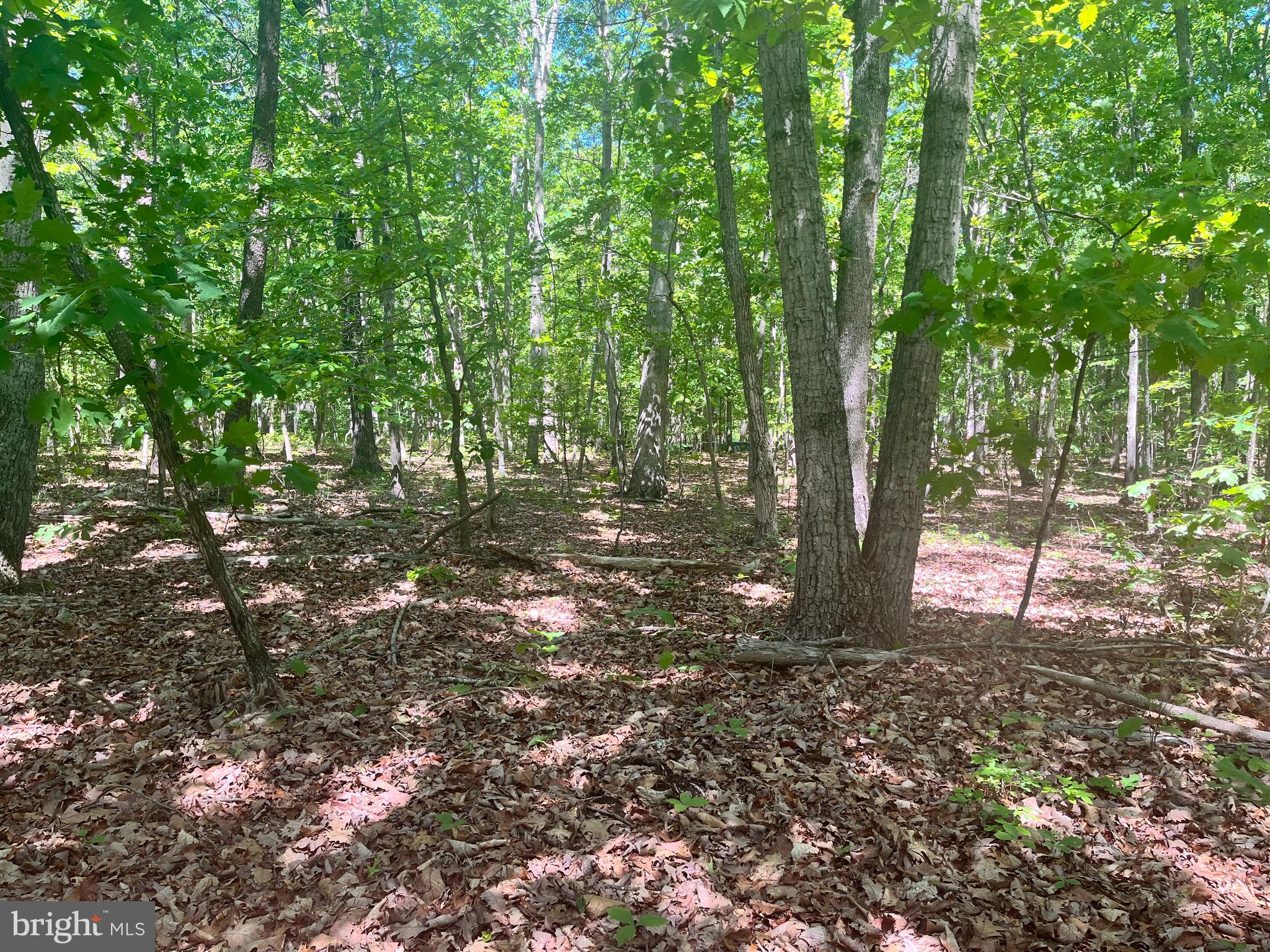 ELK RUN RD.