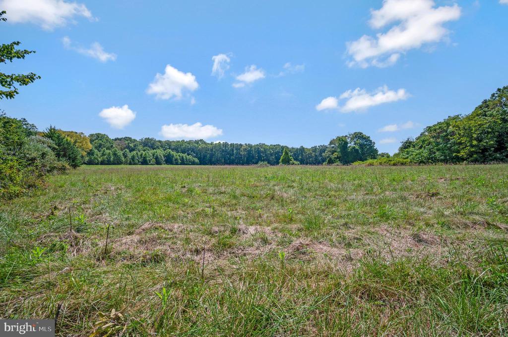 6471 Stoney Rd