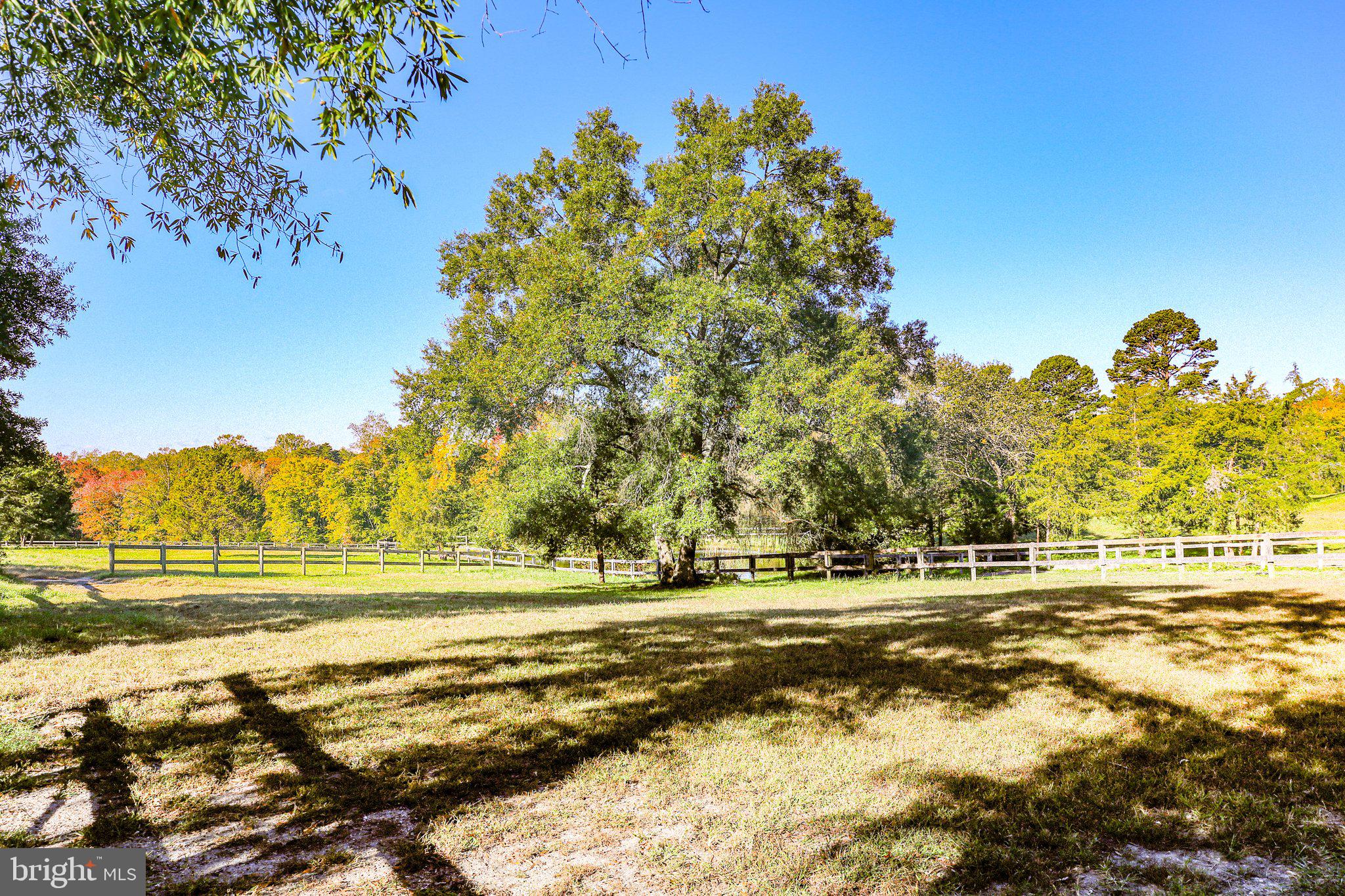 3619 Rock Run Rd
