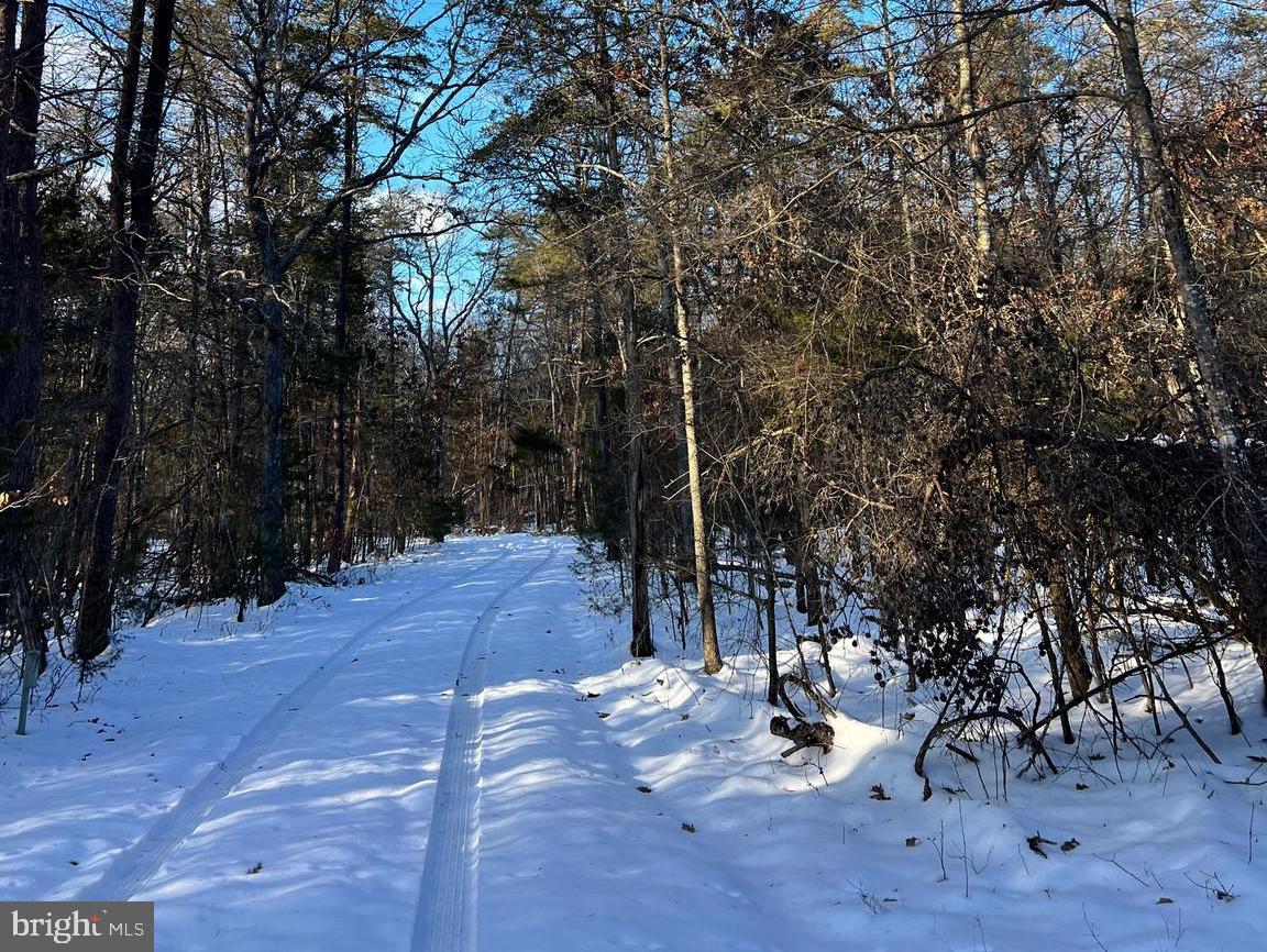 10355 Shenandoah Path
