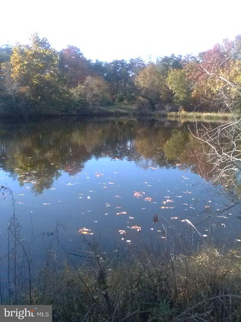 10355 Shenandoah Path