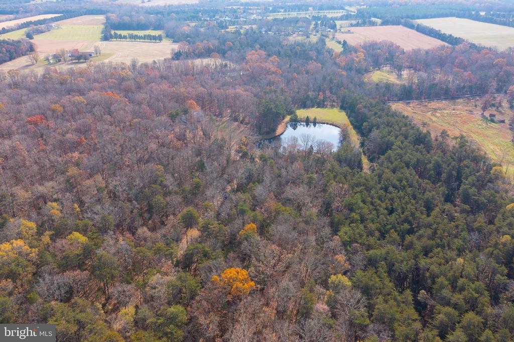 10355 Shenandoah Path