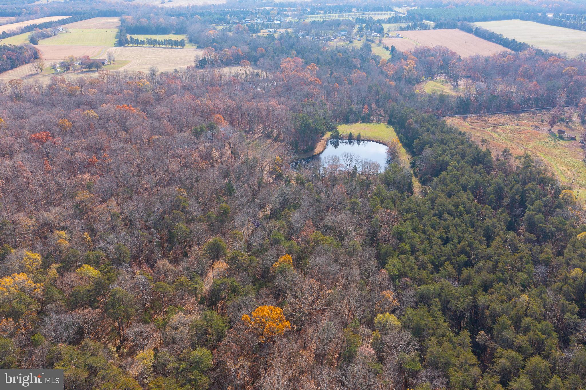 10355 Shenandoah Path