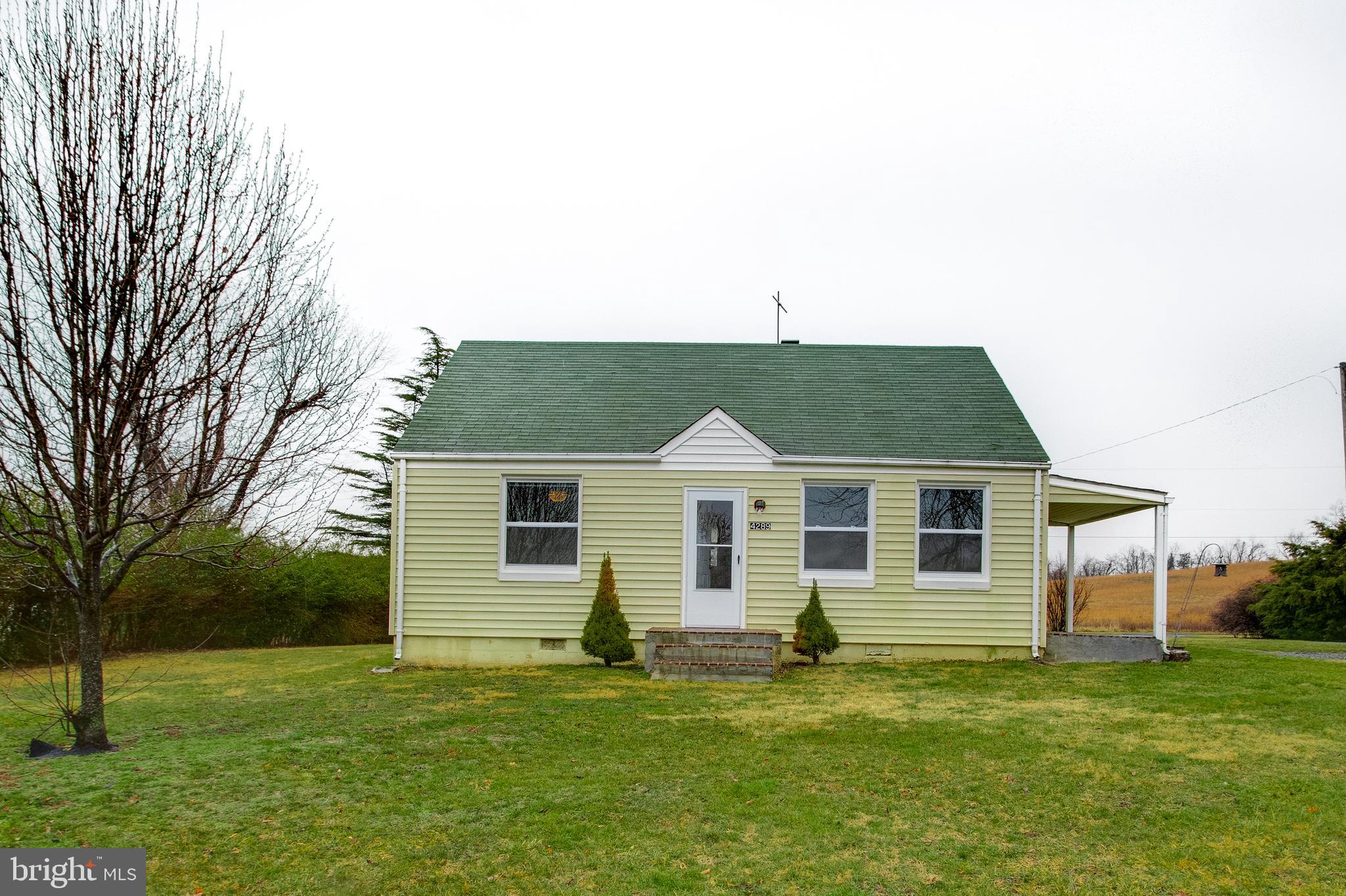 4289 LUNCEFORD LN