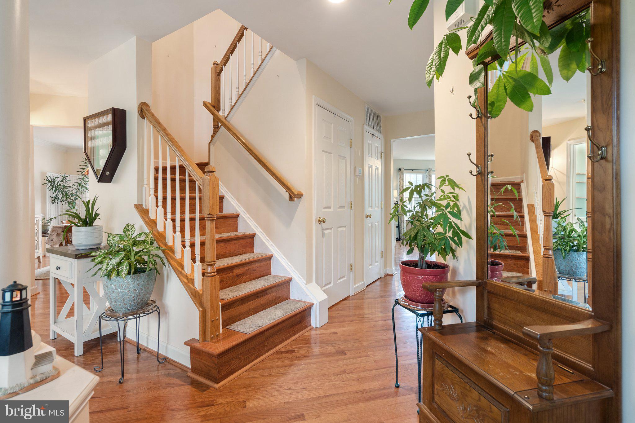 534 ESTATE AVENUE