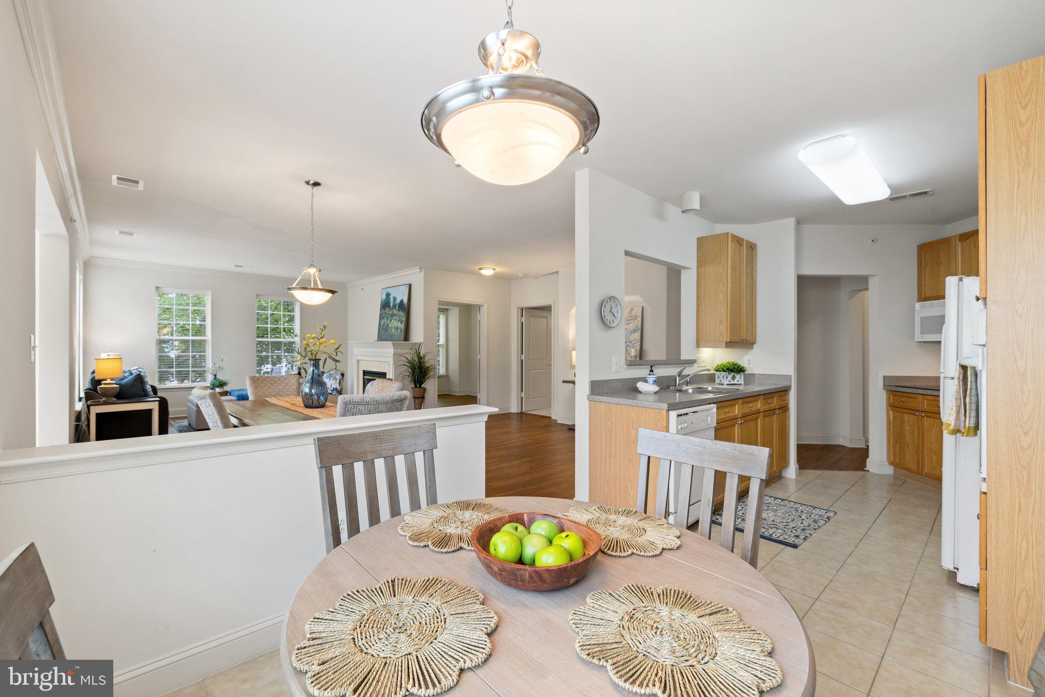 6704 HOLLY FARM LANE 203